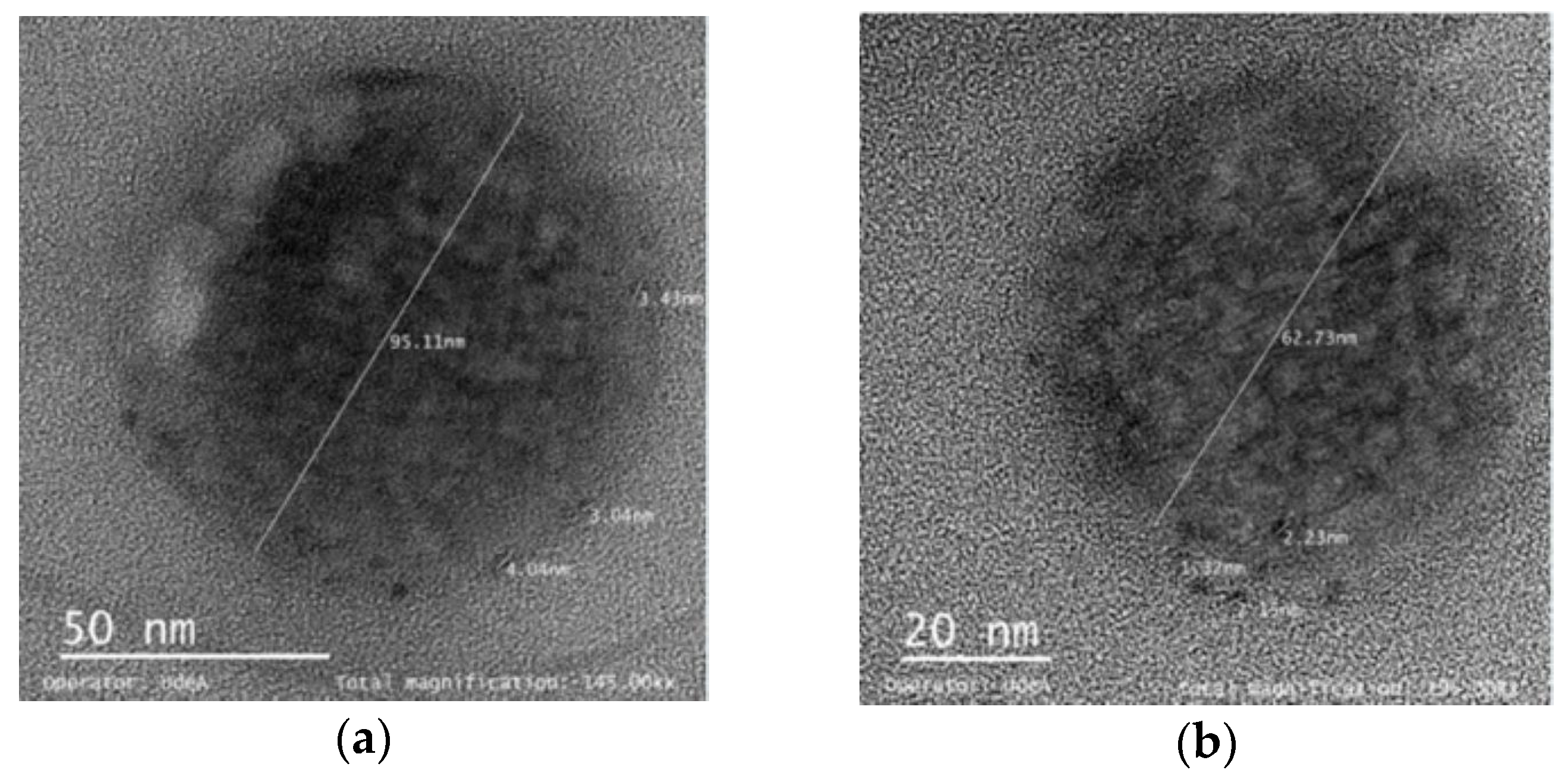 Fluids 06 00309 g010