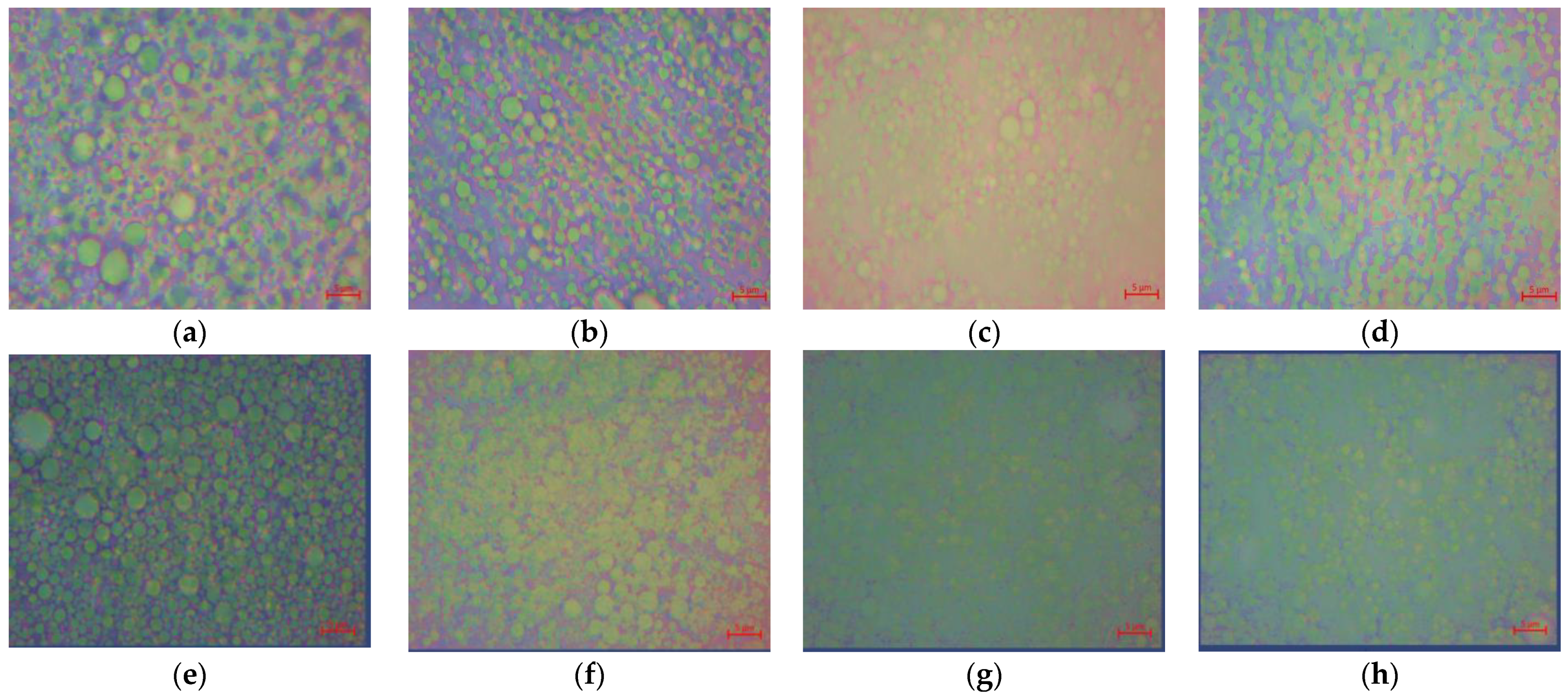 Fluids 06 00312 g006a