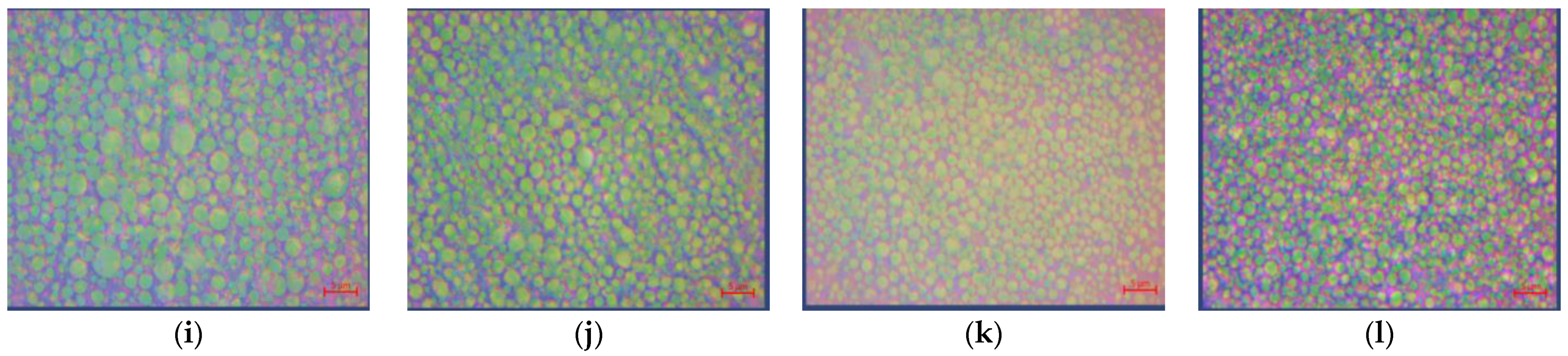 Fluids 06 00312 g006b