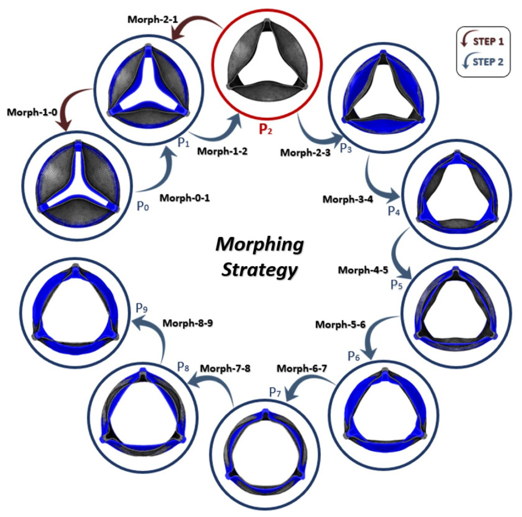 Fluids 06 00314 g007