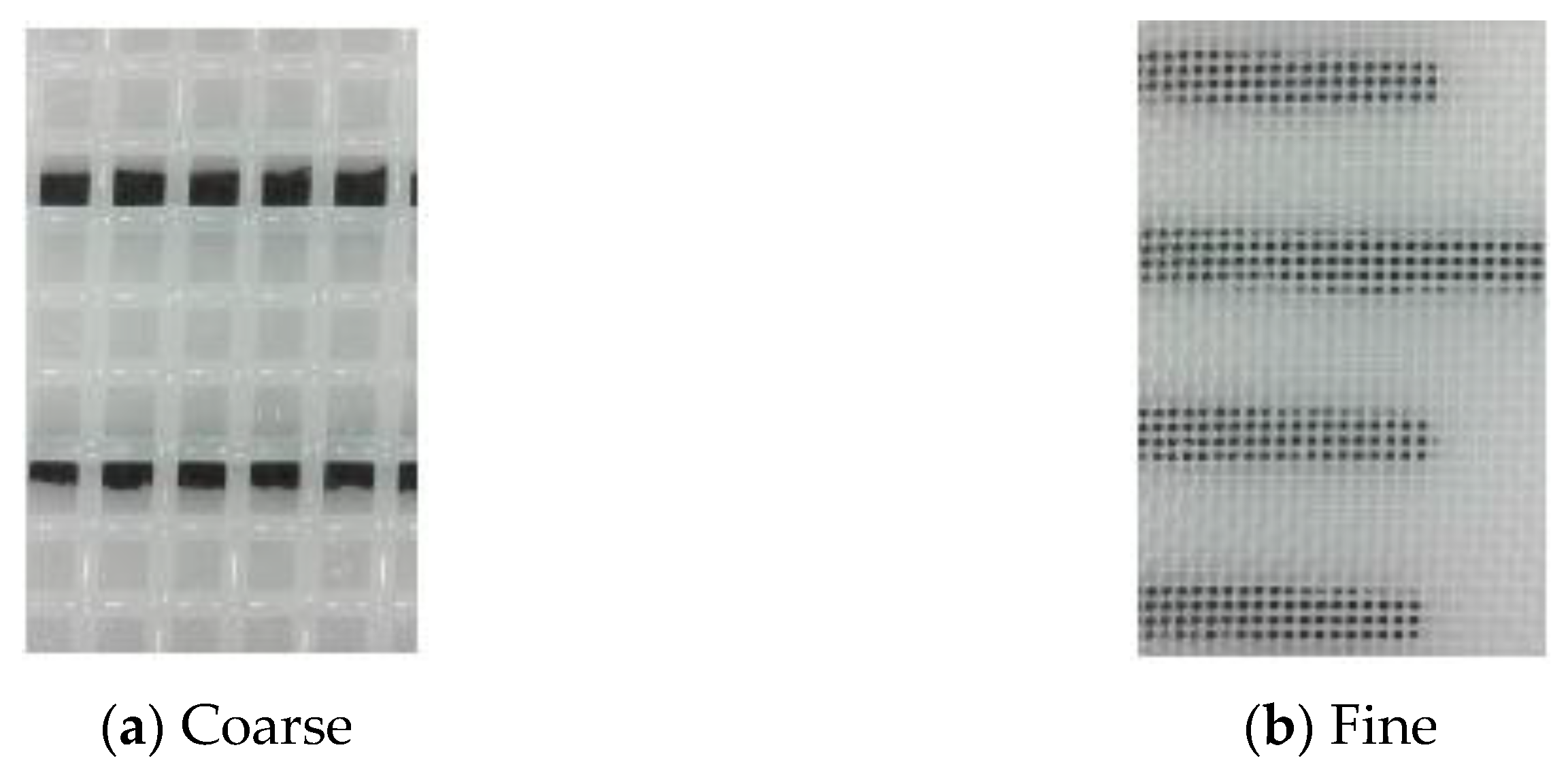 Fluids 06 00319 g001