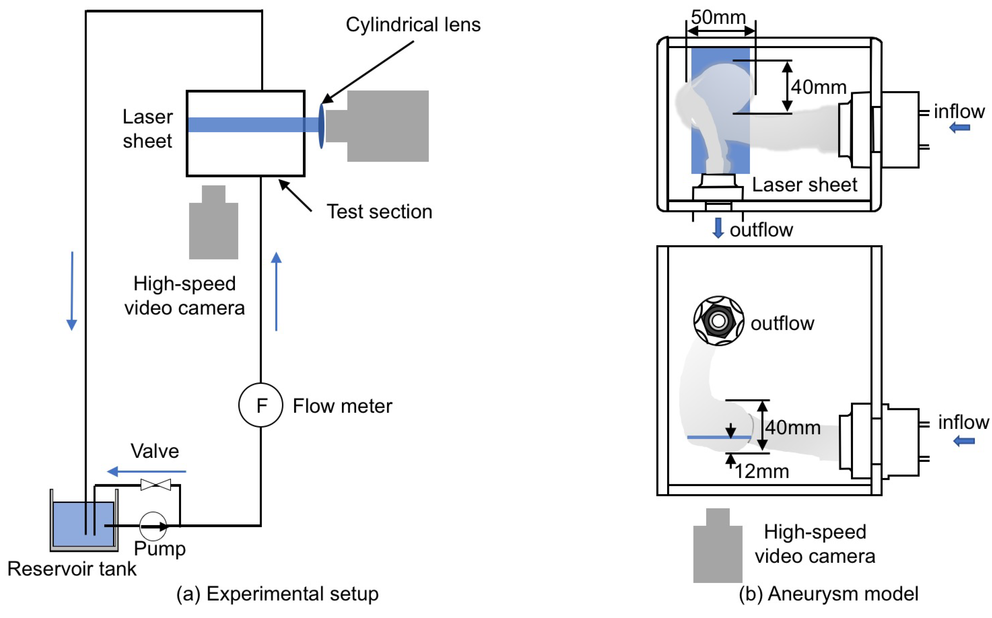 Fluids 06 00338 g005