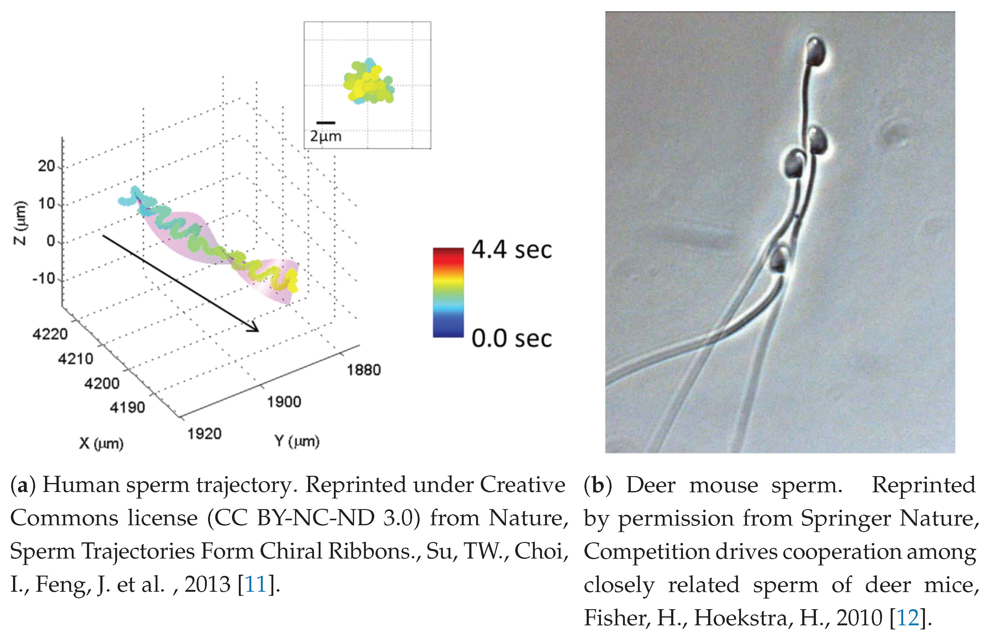 Fluids 06 00353 g001 Fluids 06 00353 g001