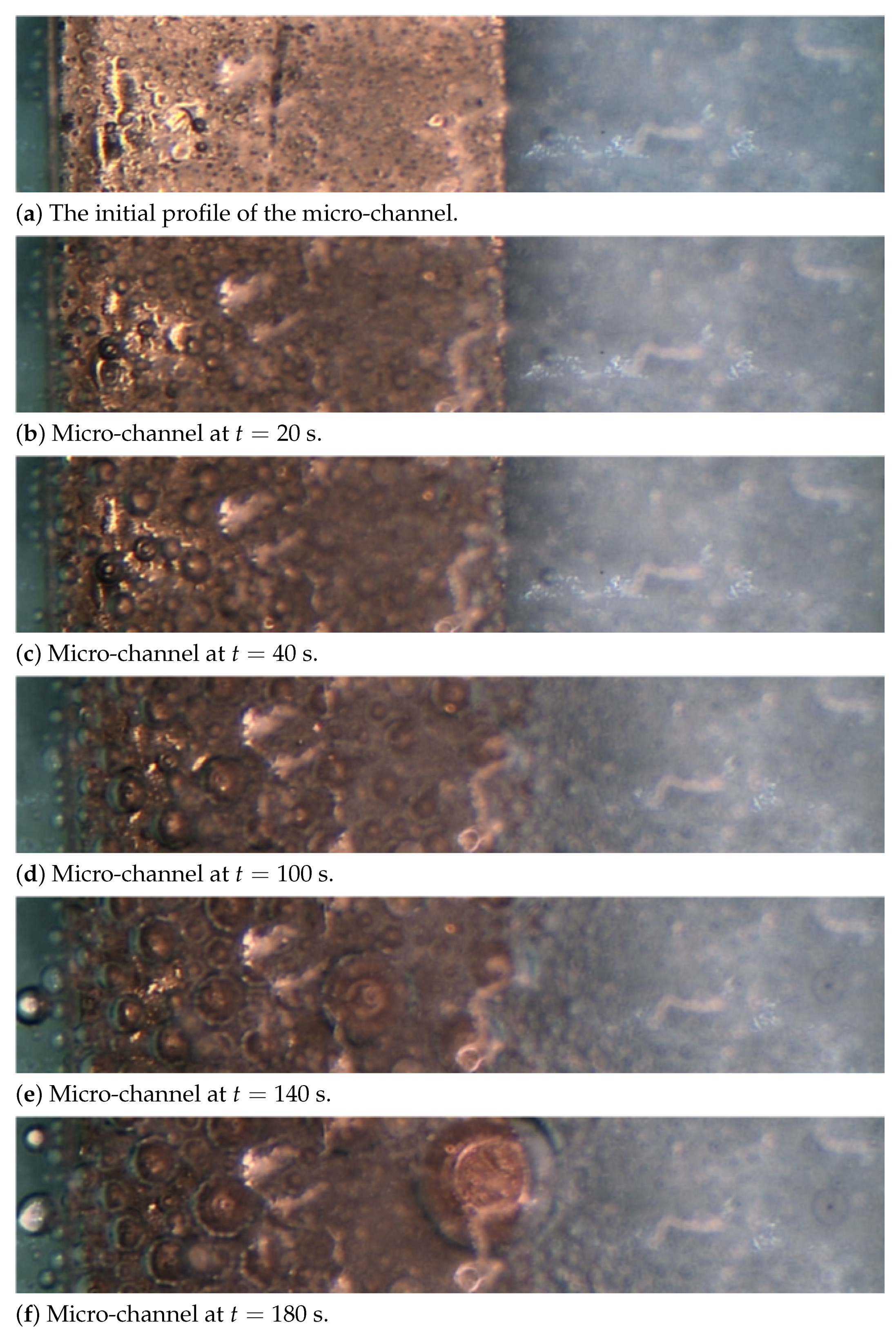 Fluids 06 00371 g020 Fluids 06 00371 g020