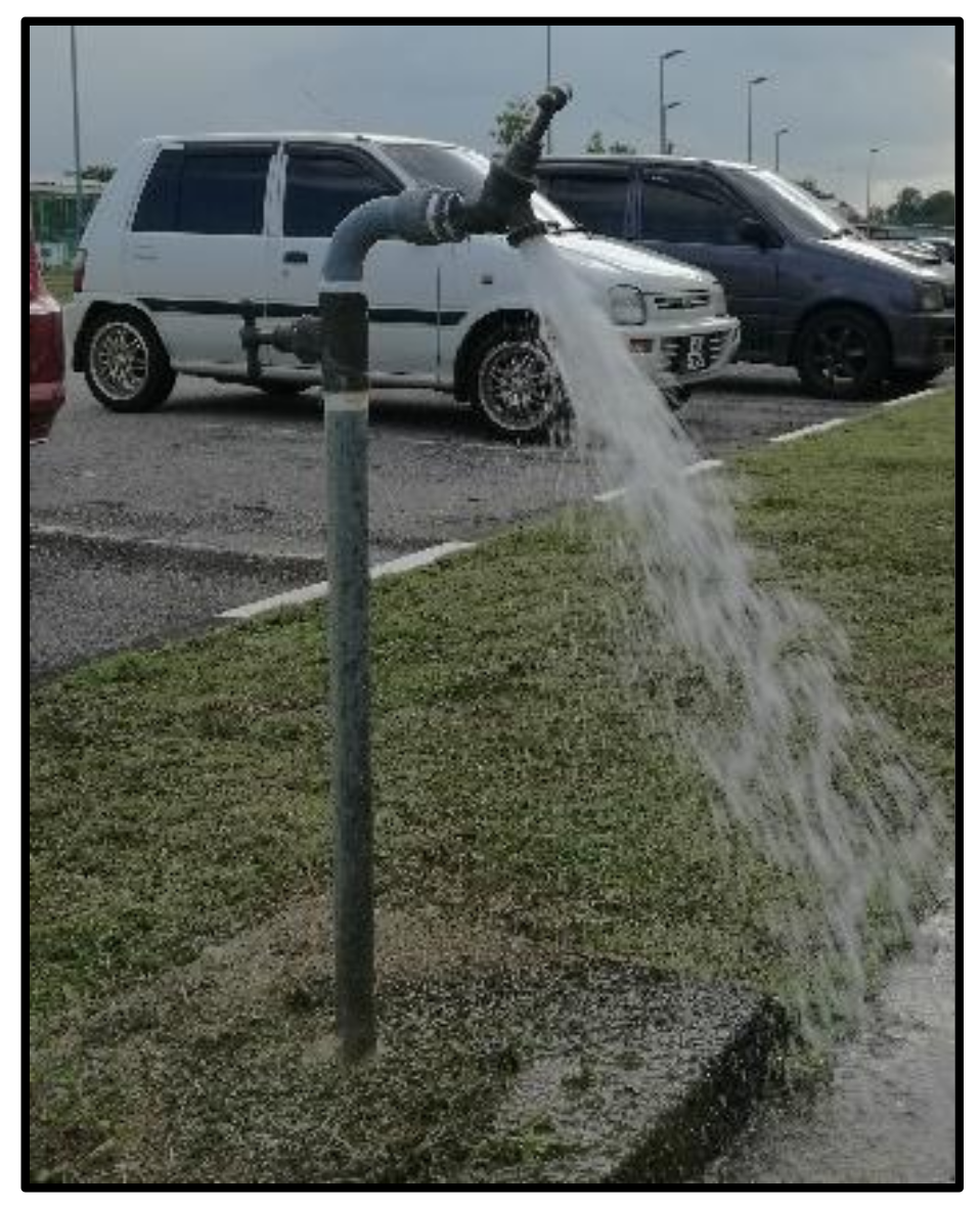 Fluids 06 00373 g024