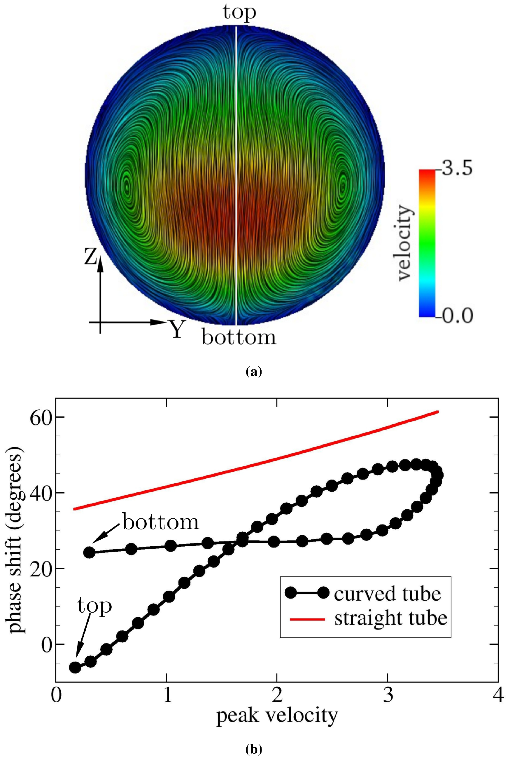 Fluids 06 00378 g008