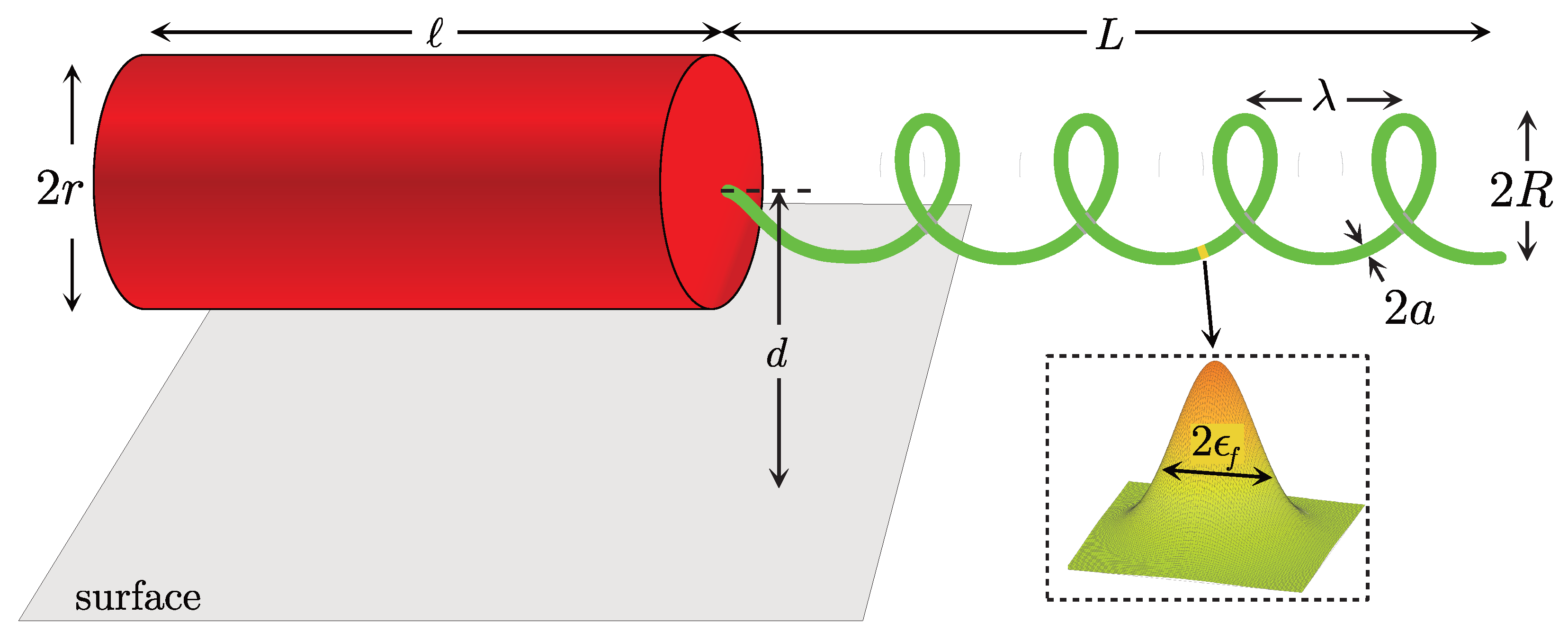 Fluids 06 00387 g001