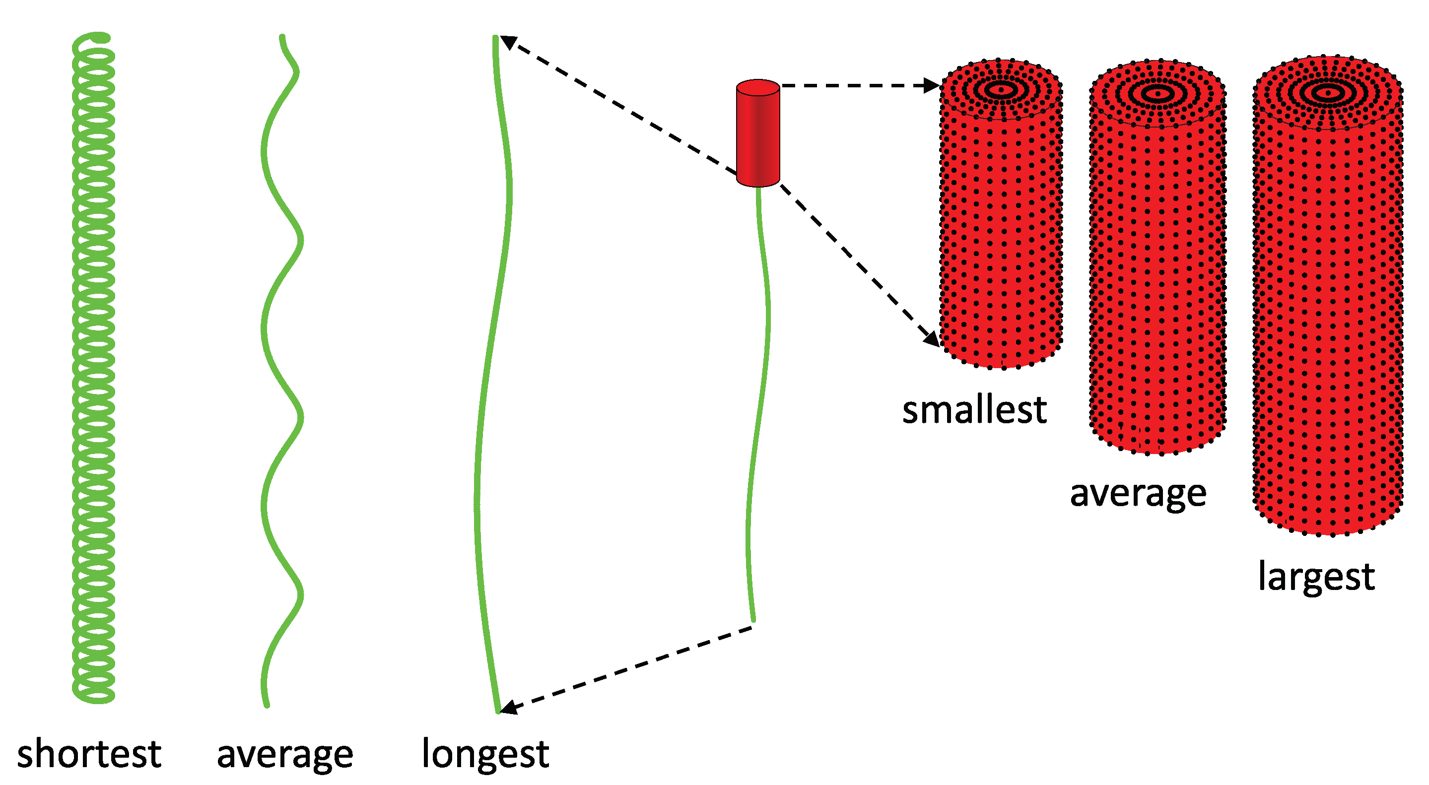 Fluids 06 00387 g002