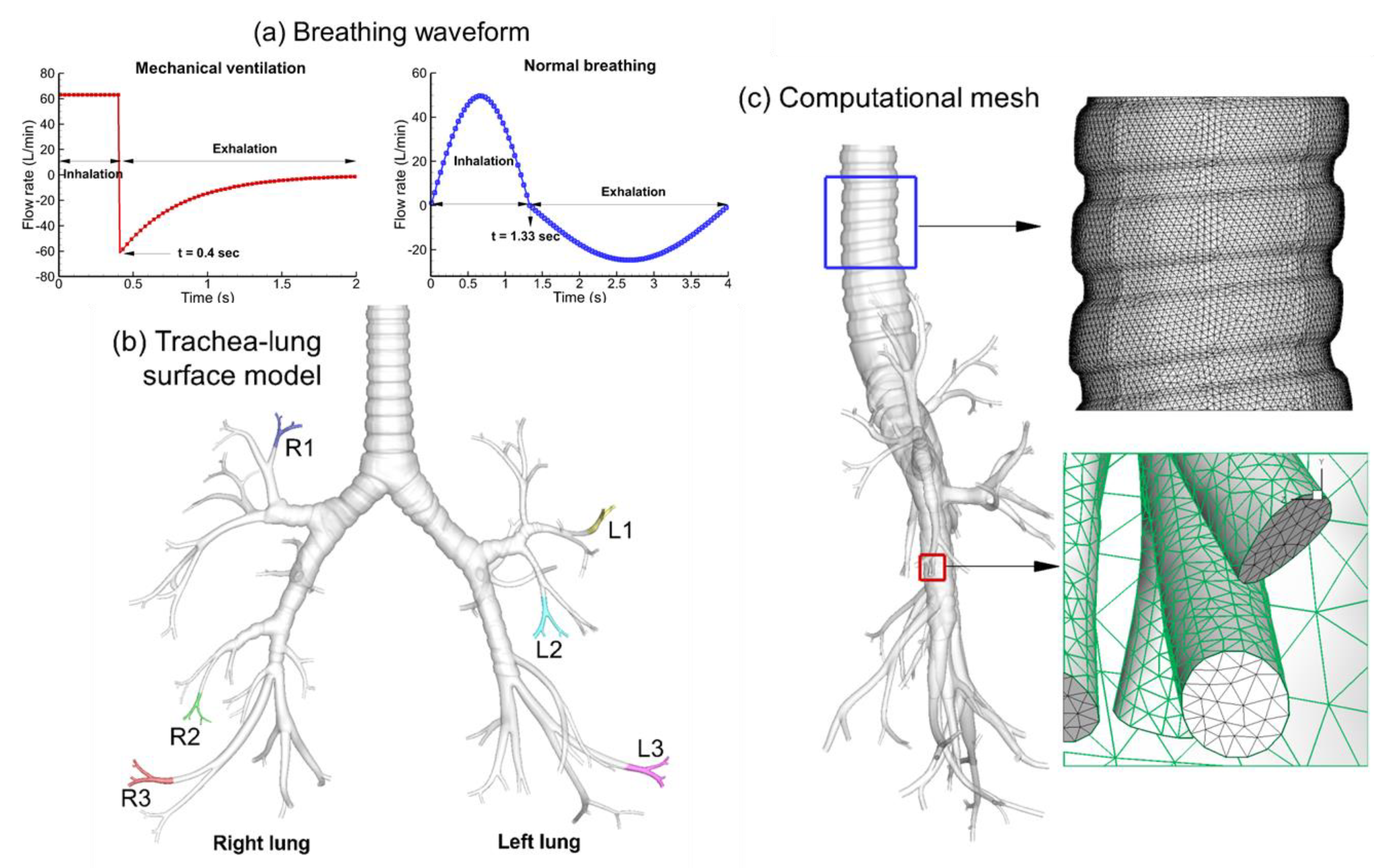 Fluids 06 00388 g001