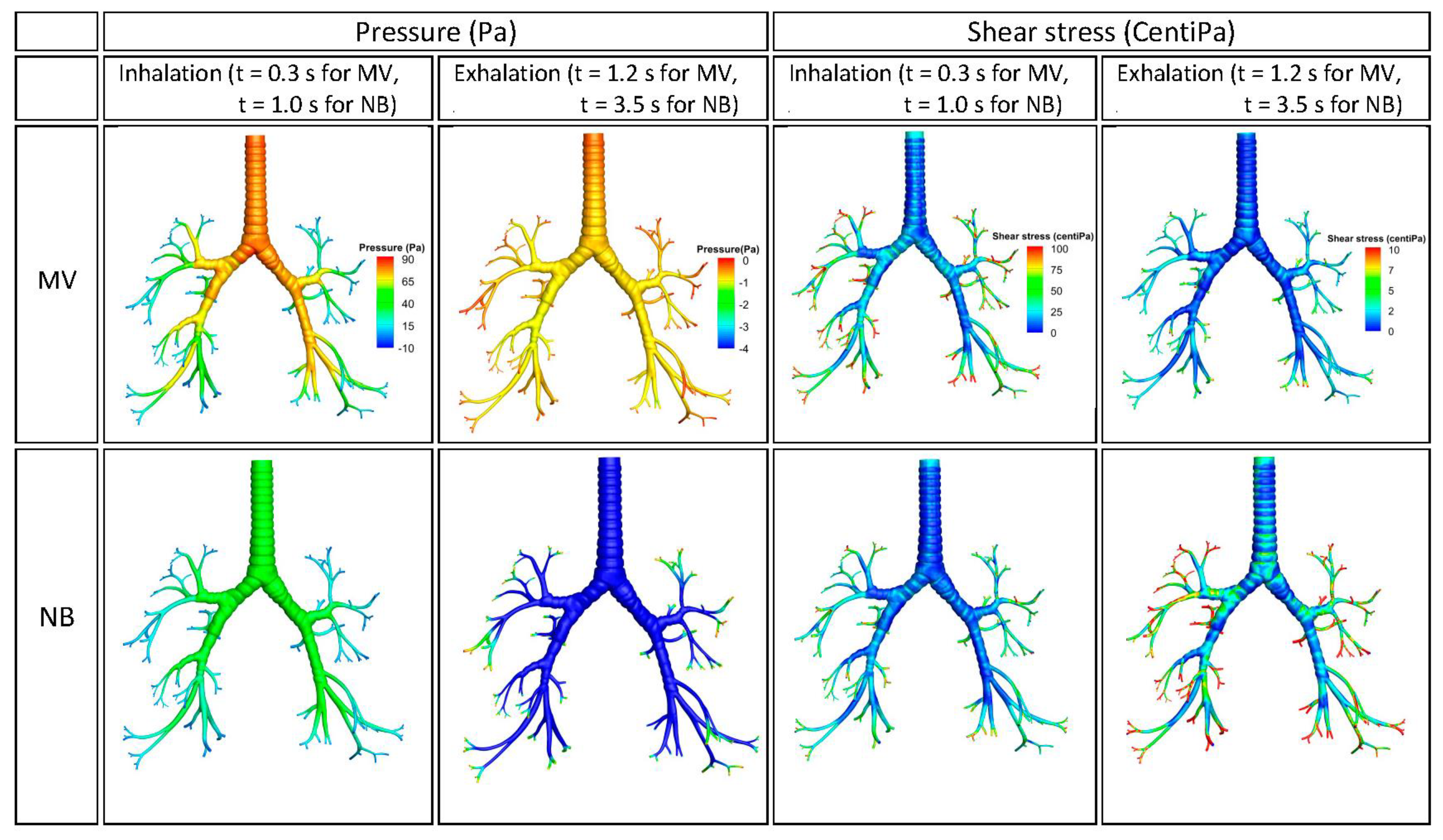 Fluids 06 00388 g004