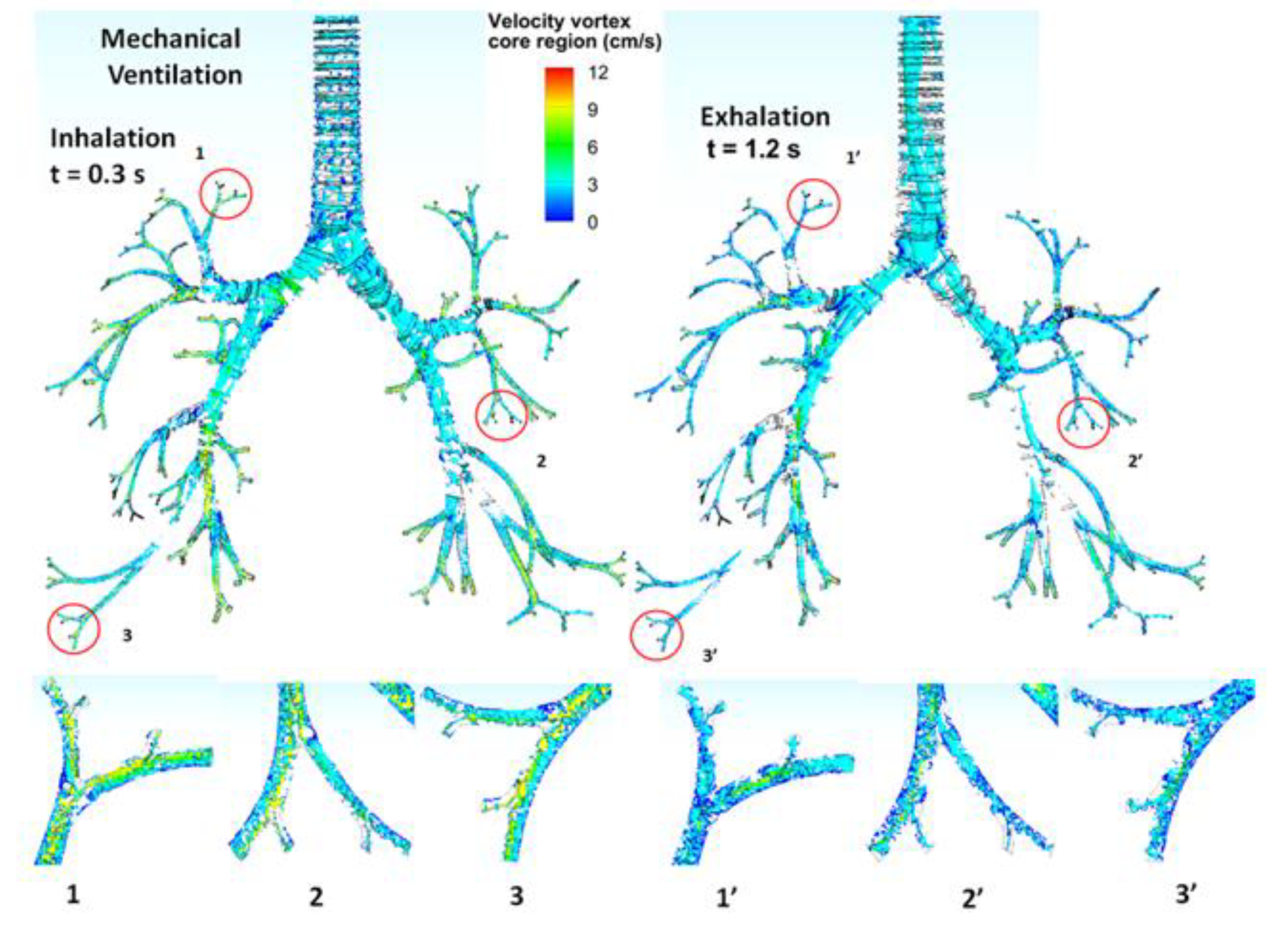 Fluids 06 00388 g006