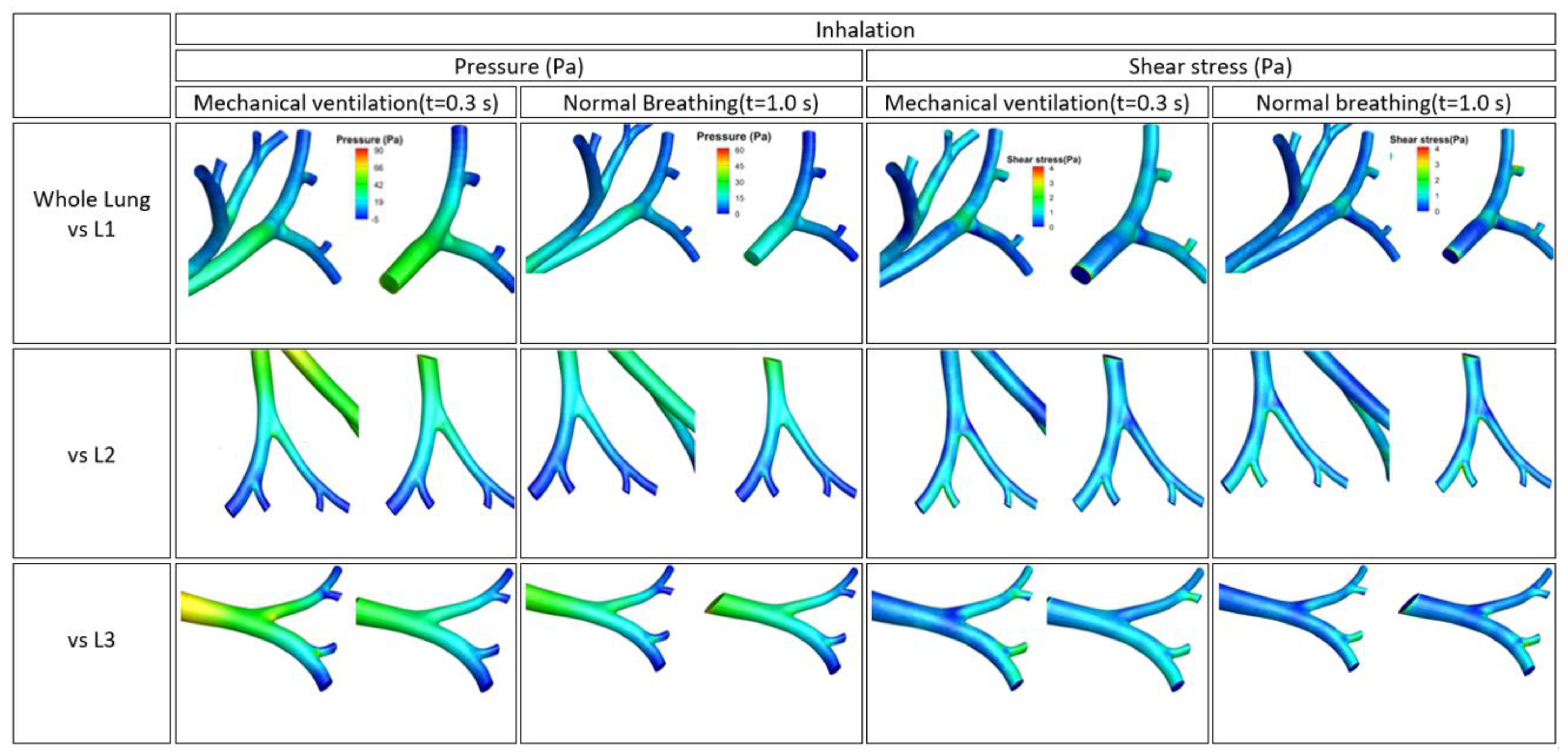 Fluids 06 00388 g009