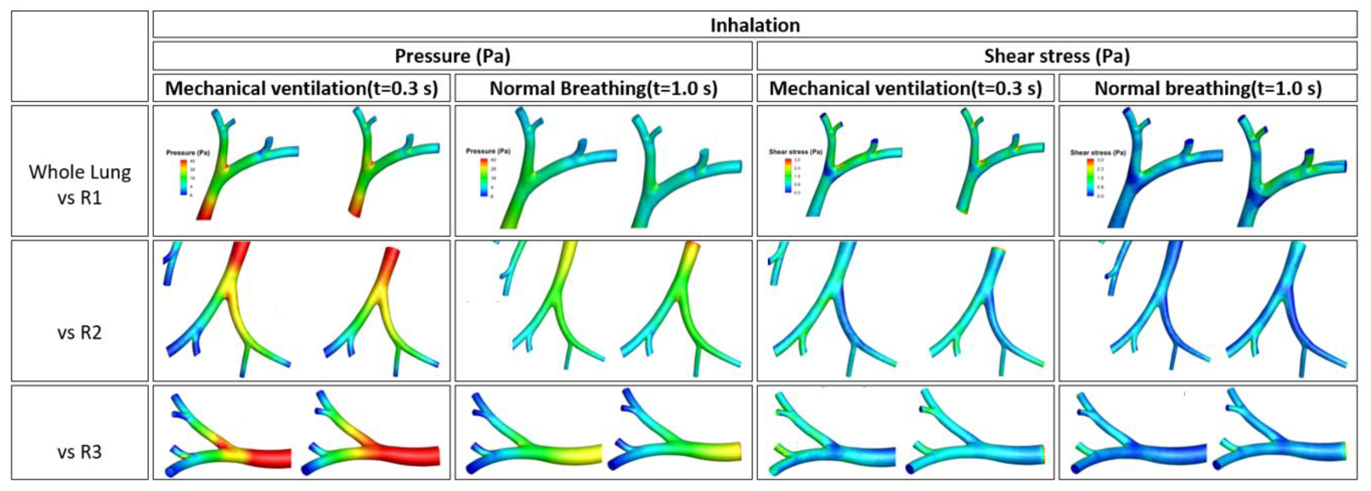 Fluids 06 00388 g011