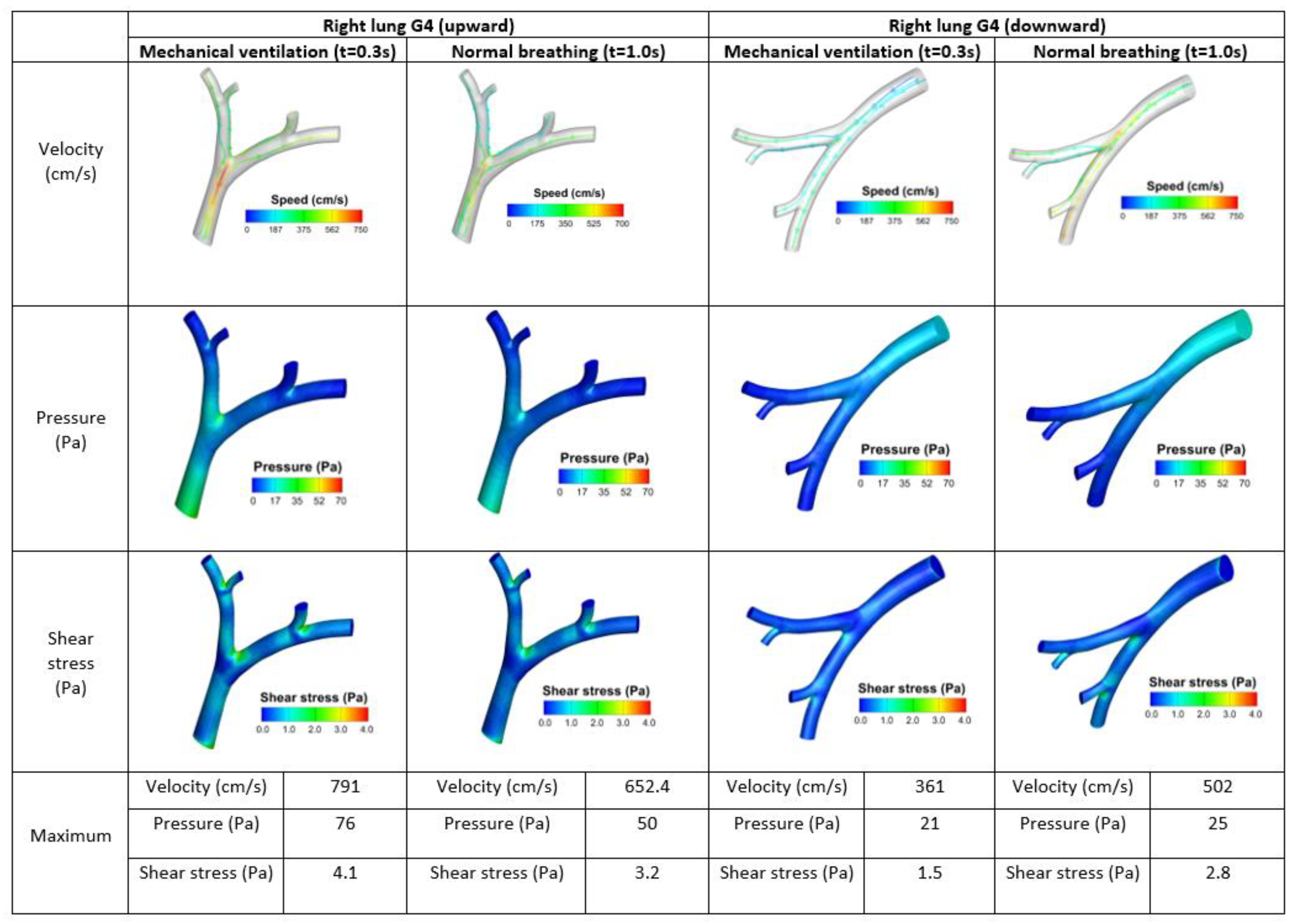 Fluids 06 00388 g014