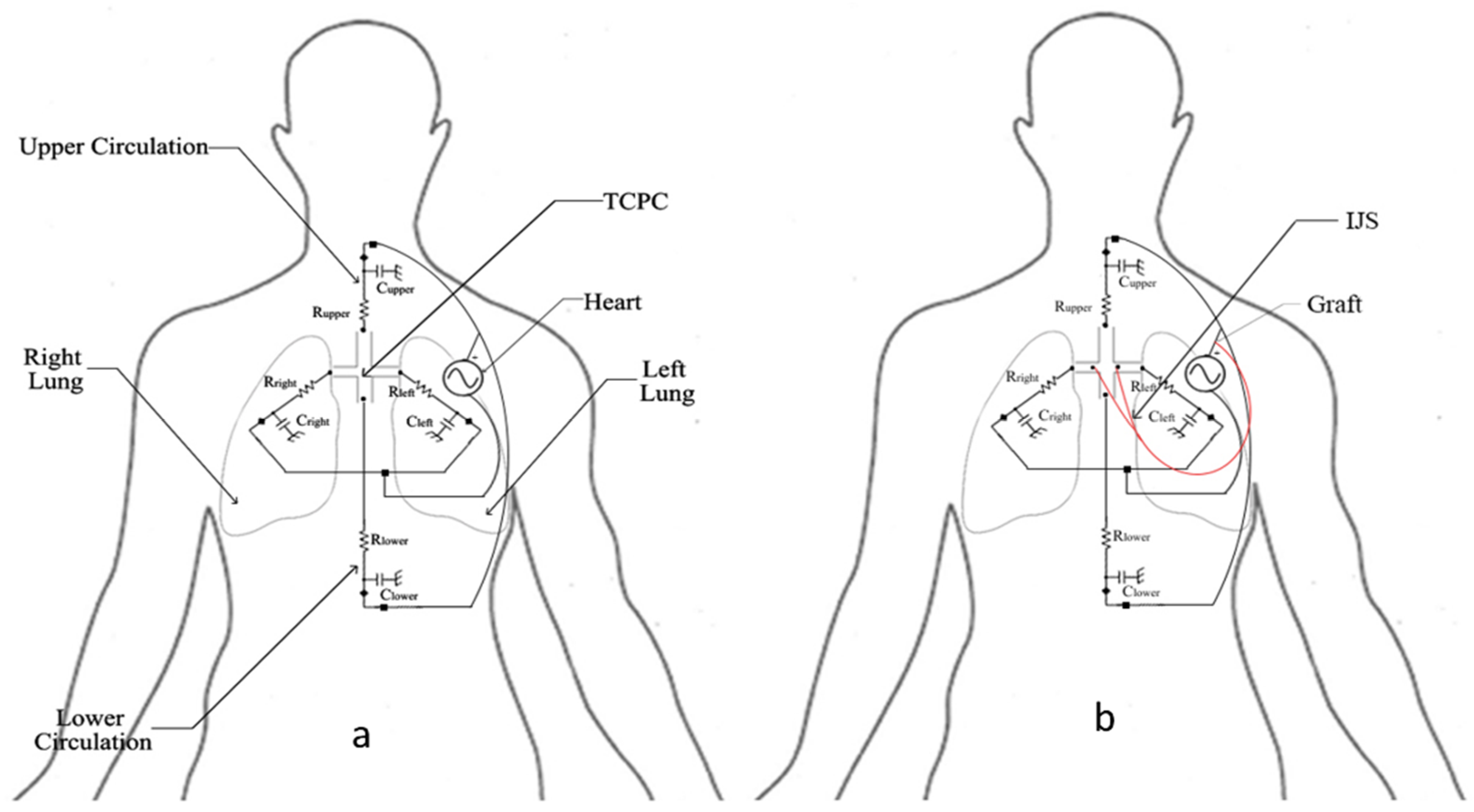 Fluids 06 00401 g004