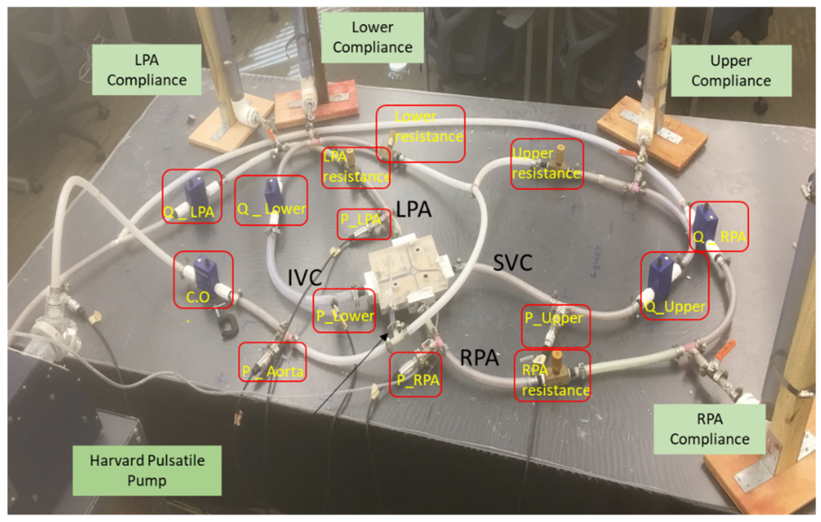 Fluids 06 00401 g008