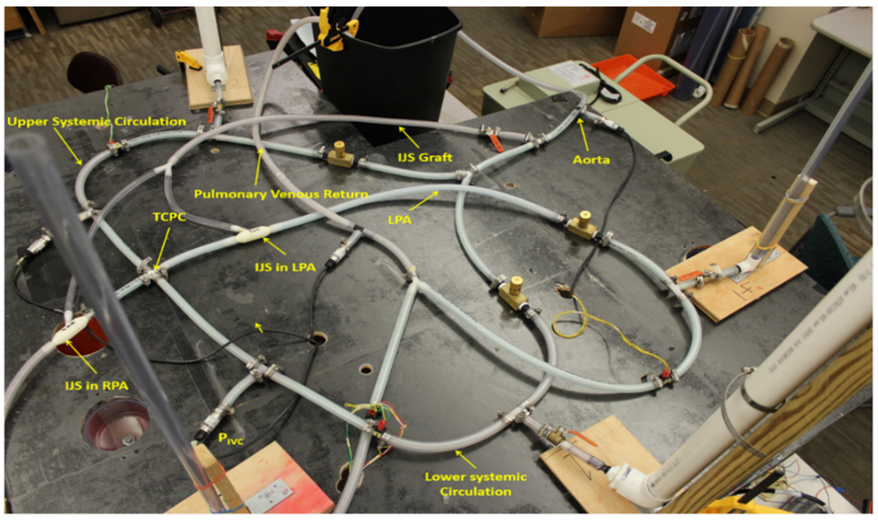 Fluids 06 00401 g009
