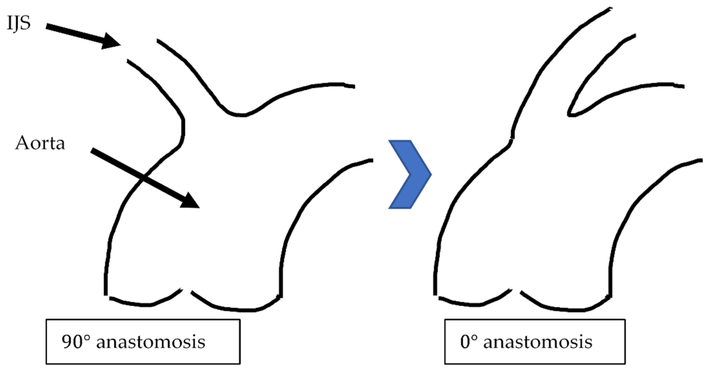 Fluids 06 00401 g010