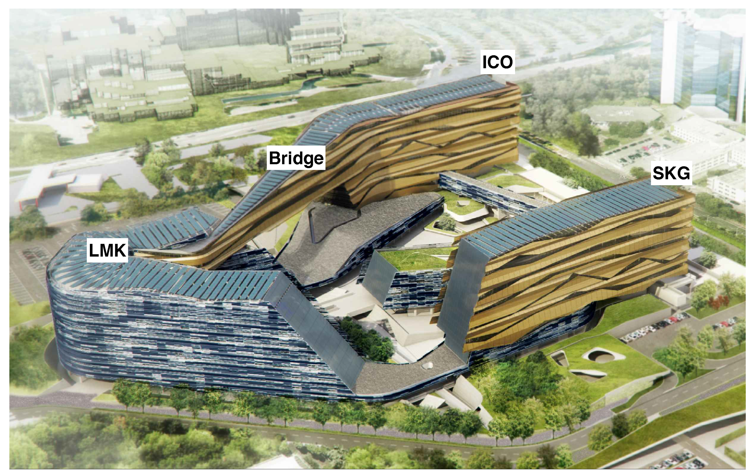 Fluids 06 00415 g001