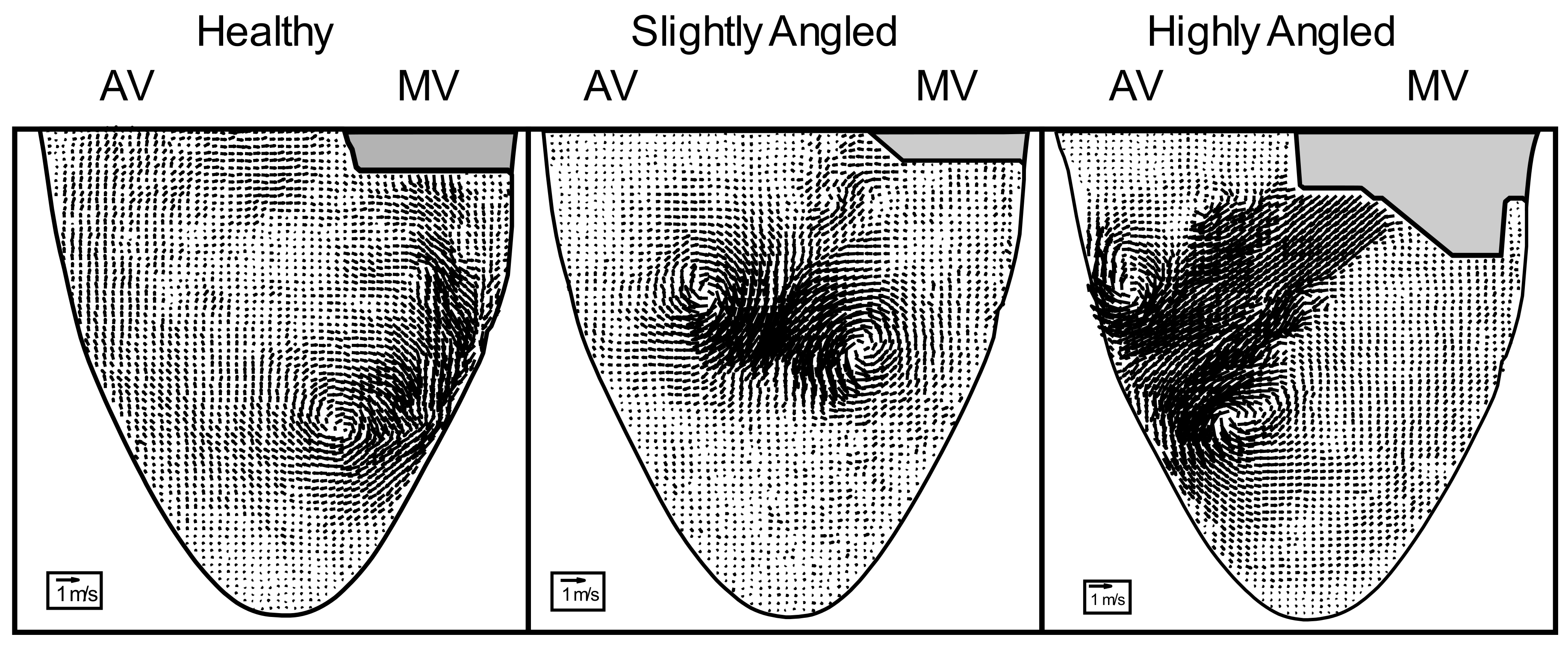 Fluids 06 00428 g005