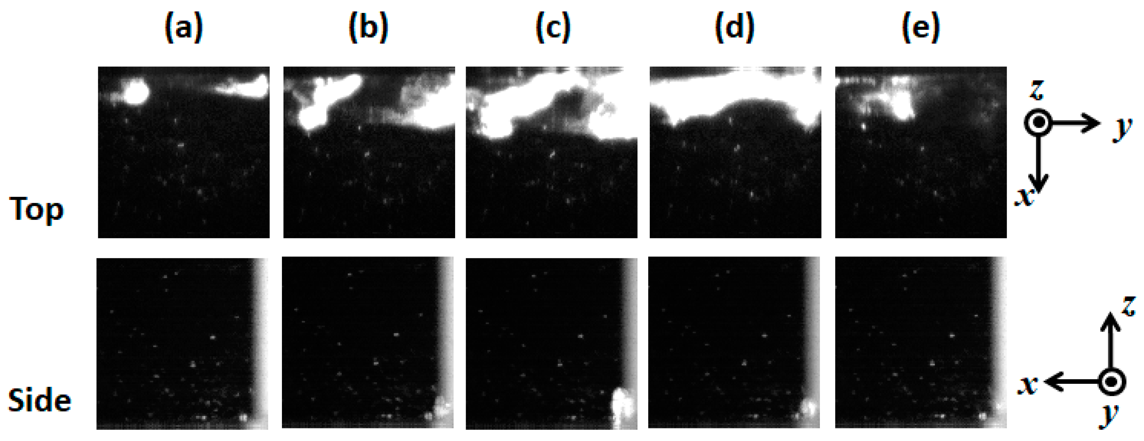 Fluids 06 00443 g006