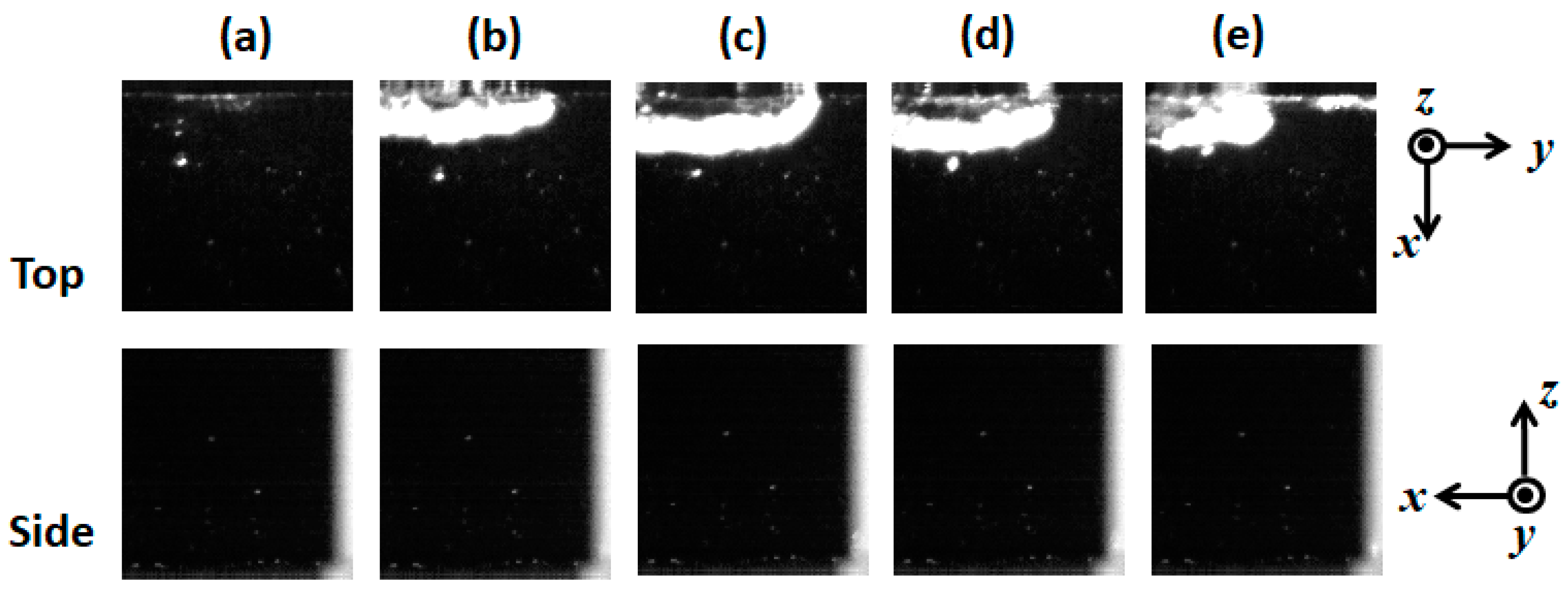 Fluids 06 00443 g007