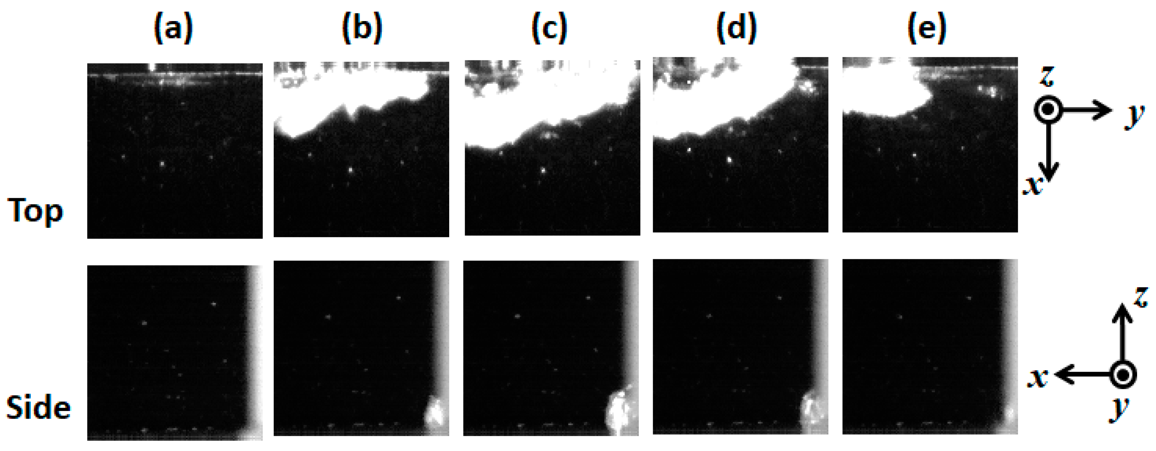 Fluids 06 00443 g008