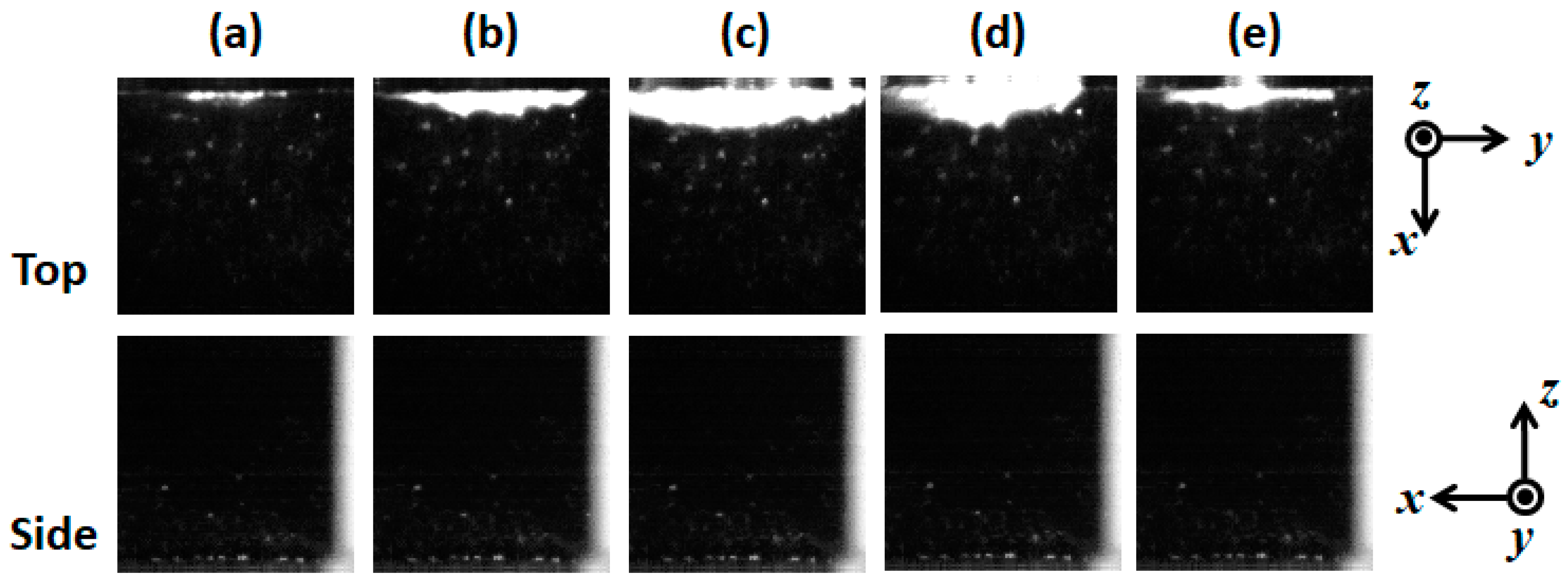 Fluids 06 00443 g009