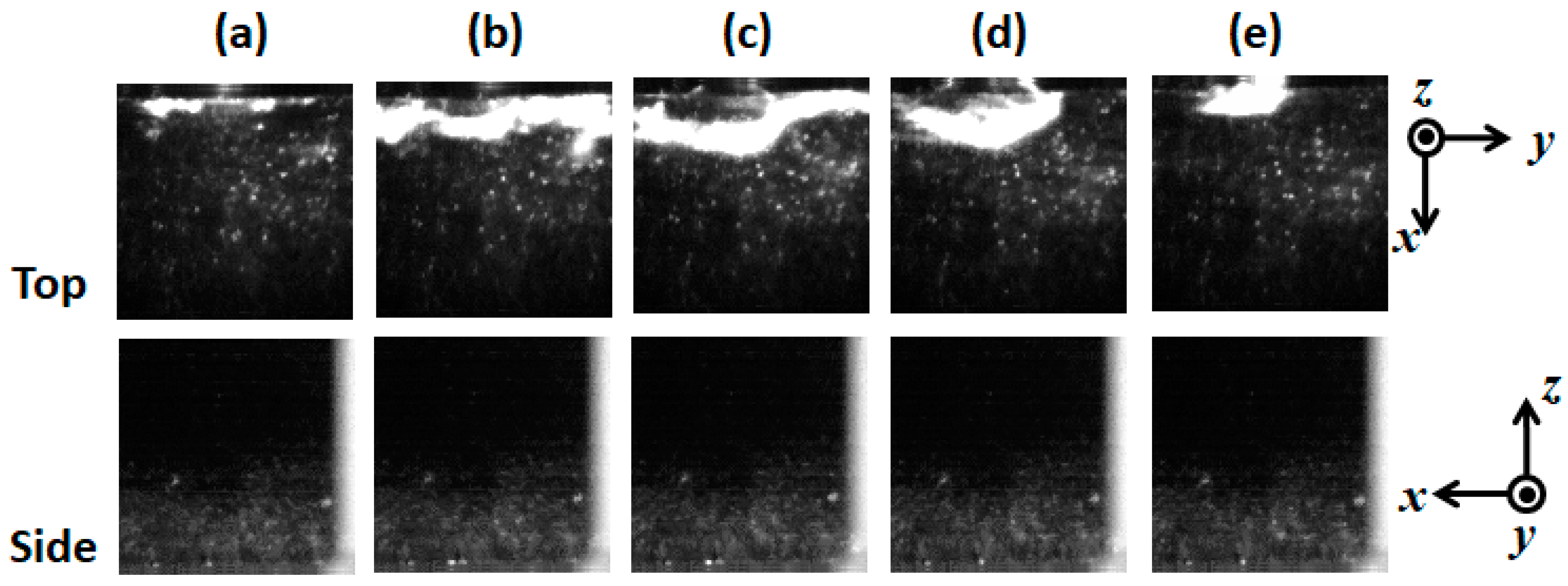 Fluids 06 00443 g010