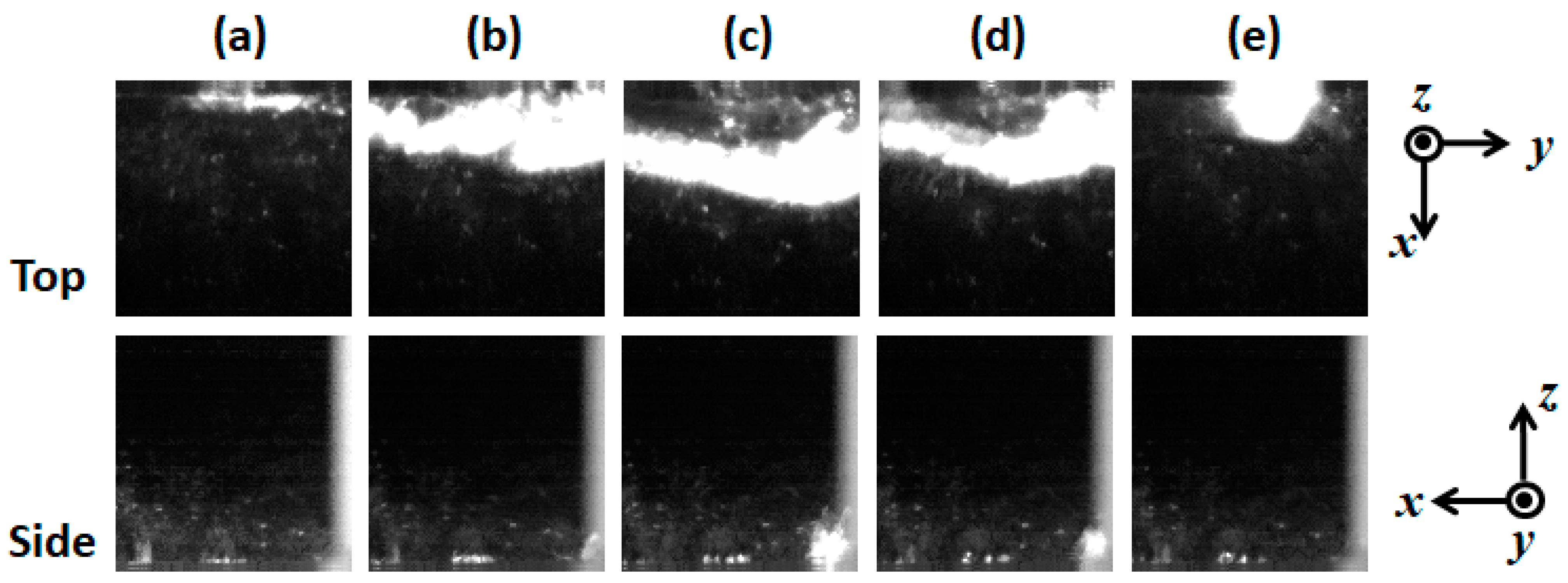 Fluids 06 00443 g011