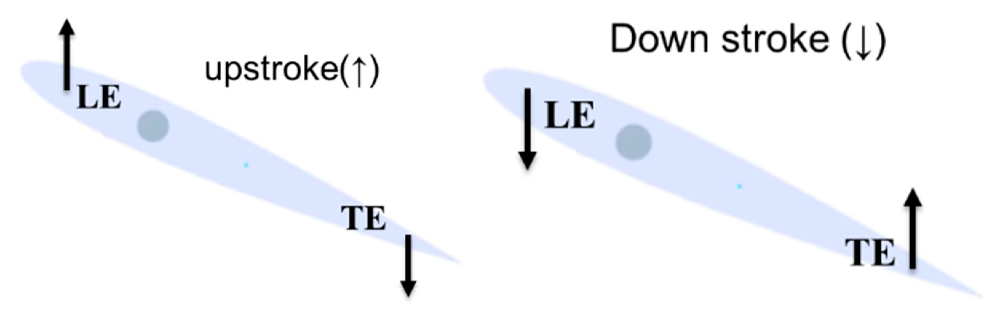 Fluids 06 00457 g007