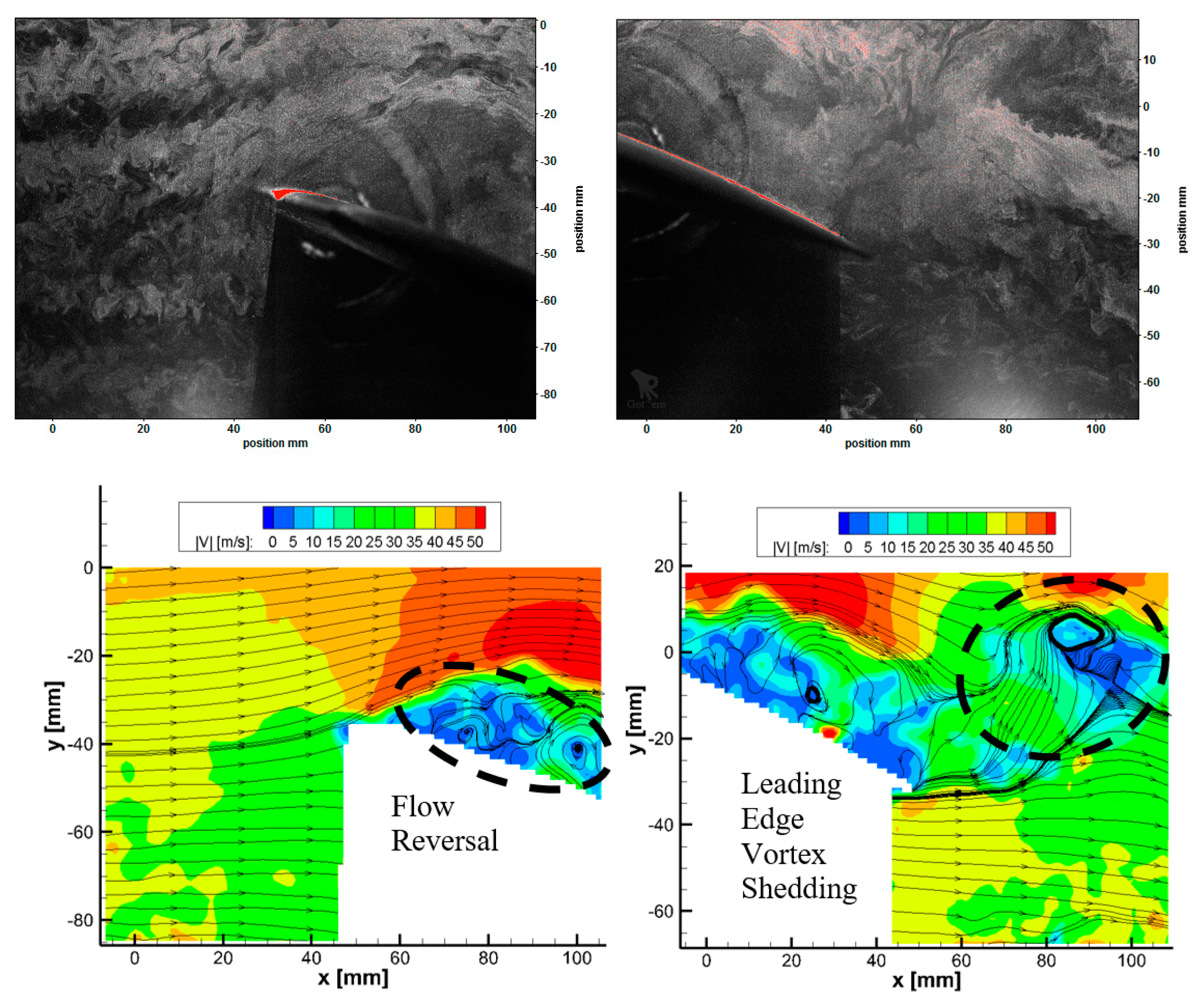 Fluids 06 00457 g009