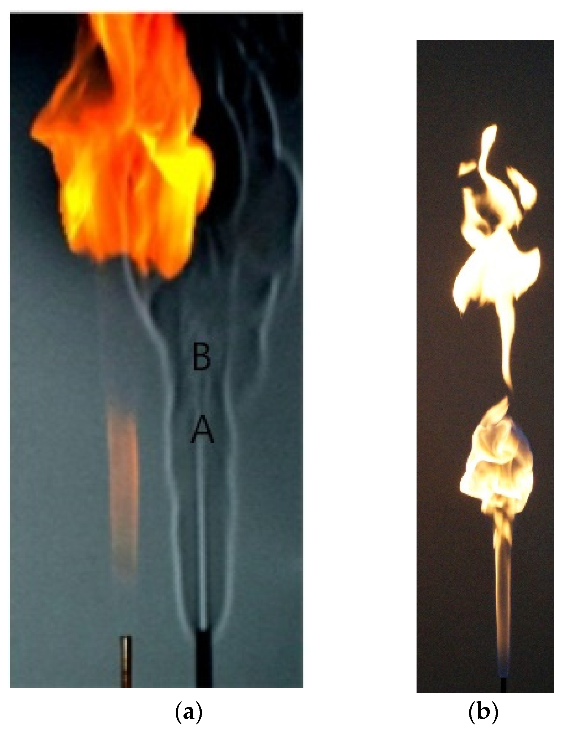 Fluids 06 00459 g009