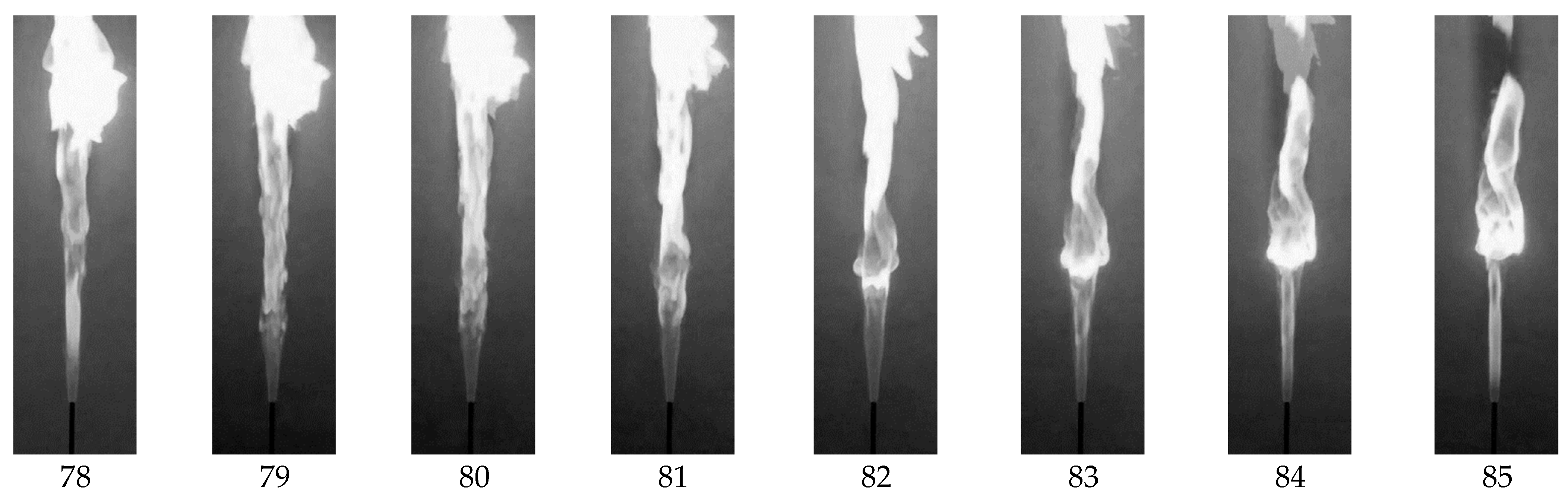 Fluids 06 00459 g010