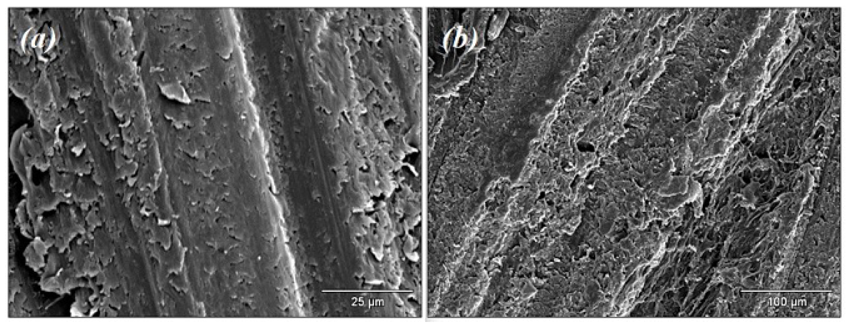 Fluids 06 00463 g004
