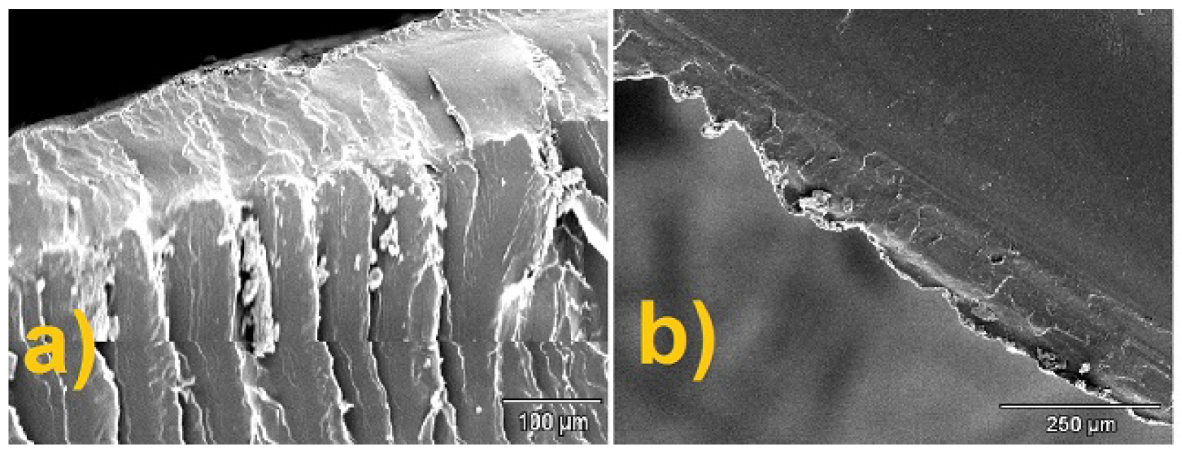 Fluids 06 00463 g005