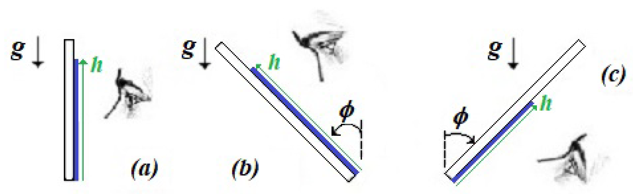 Fluids 06 00463 g006