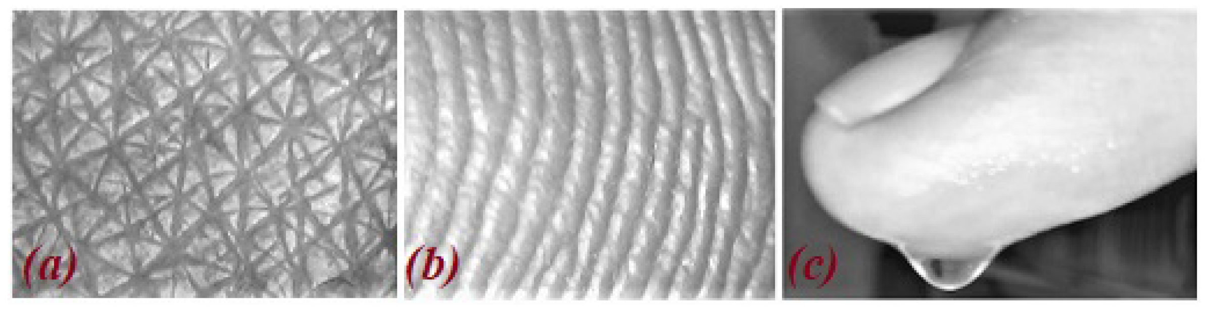 Fluids 06 00463 g011