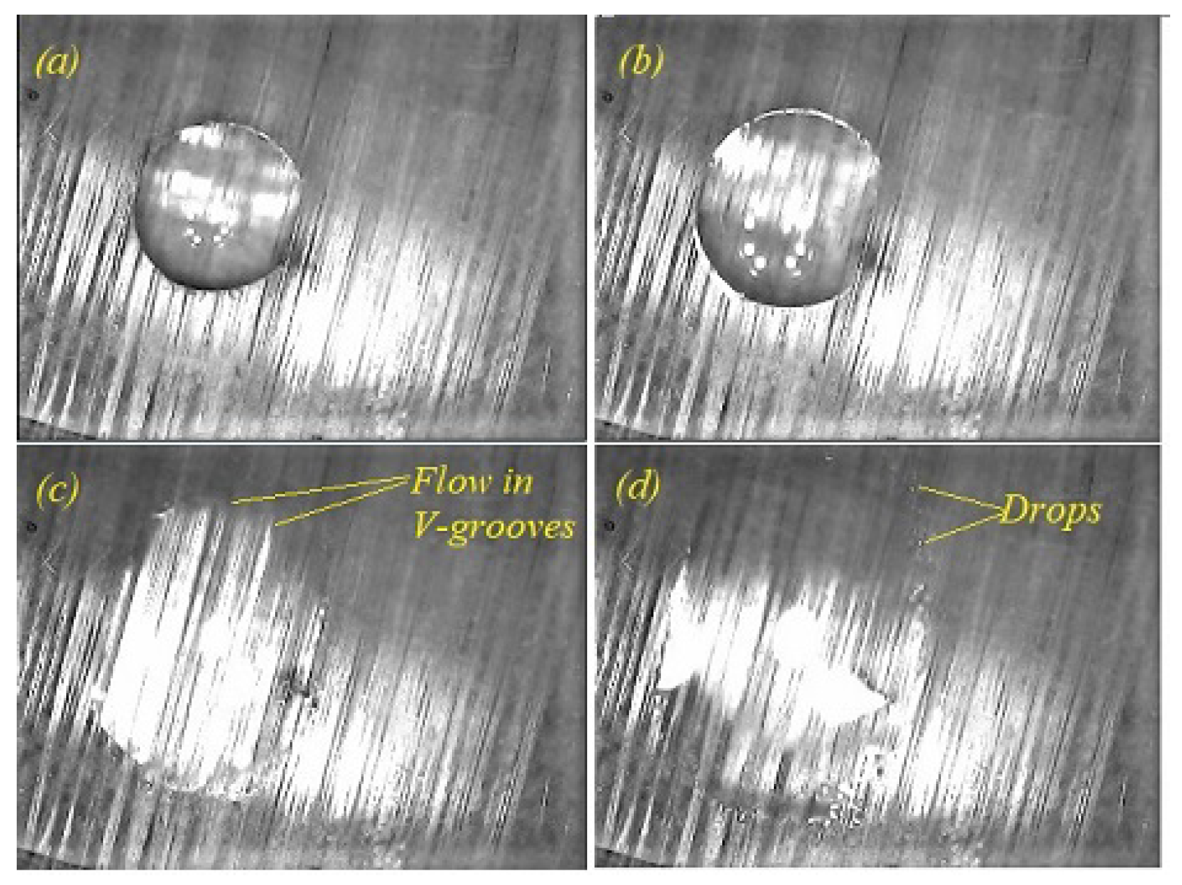 Fluids 06 00463 g015