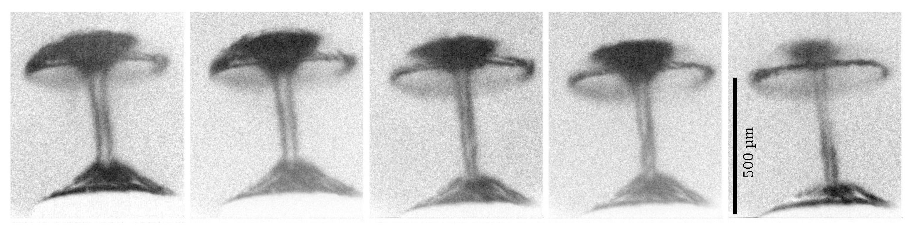 Fluids 07 00002 g006