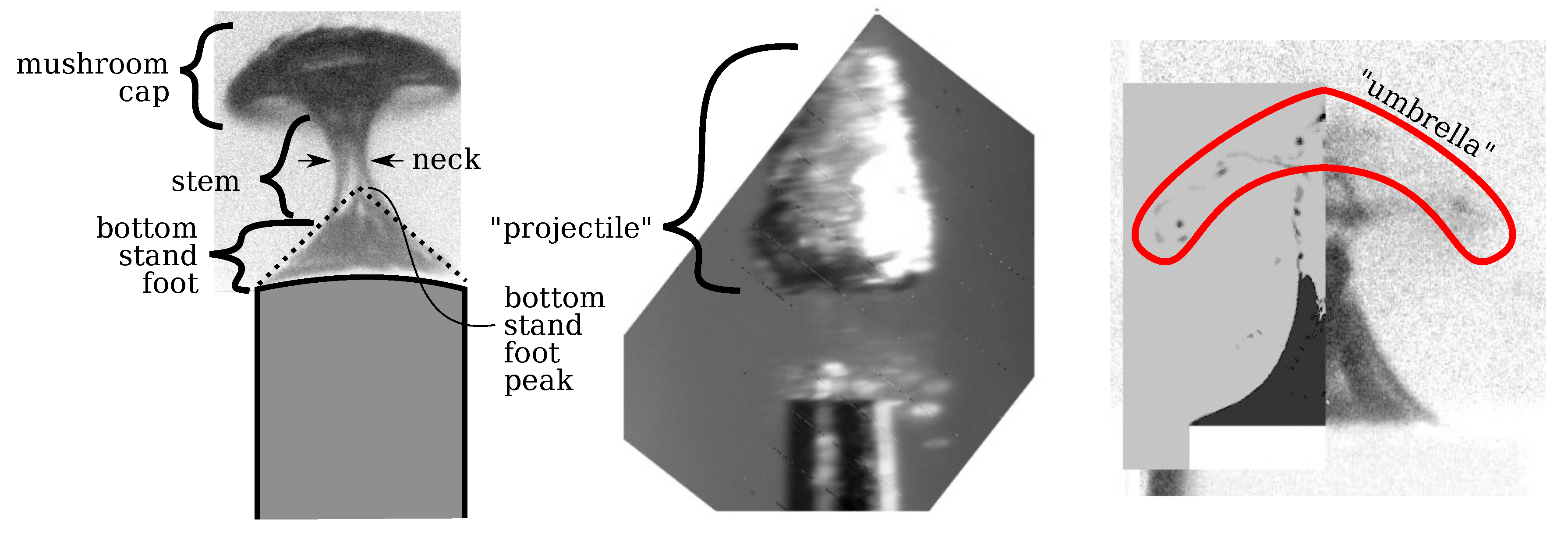 Fluids 07 00002 g007