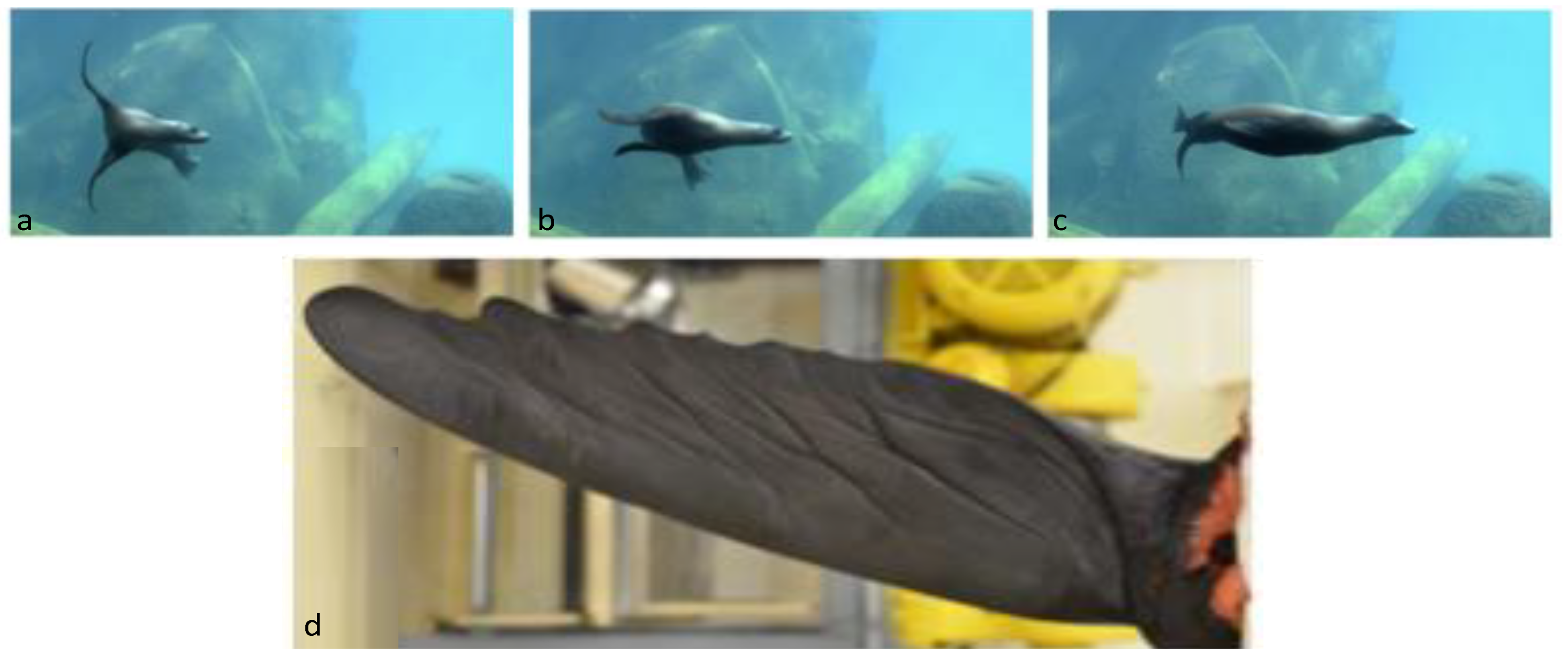 Fluids 07 00003 g001