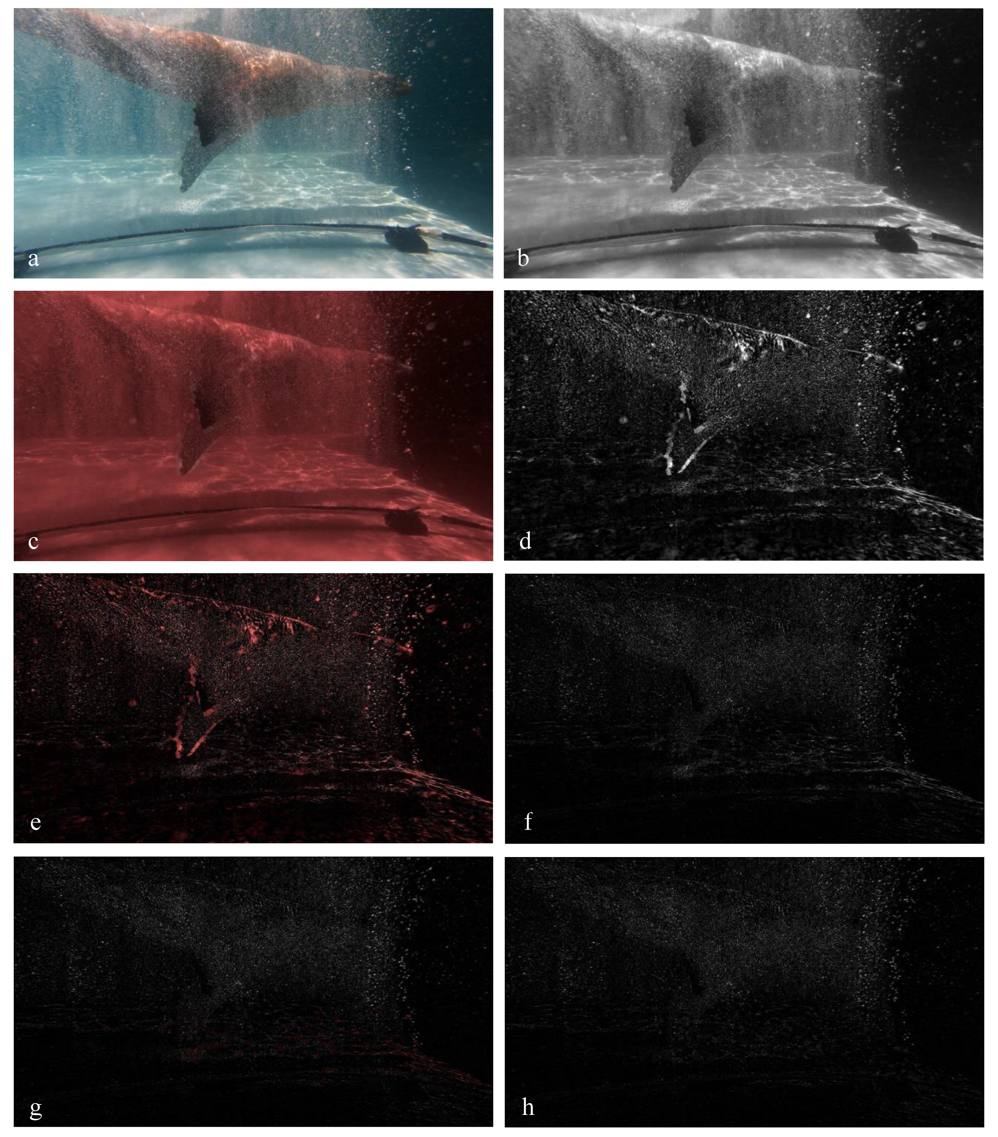 Fluids 07 00003 g003