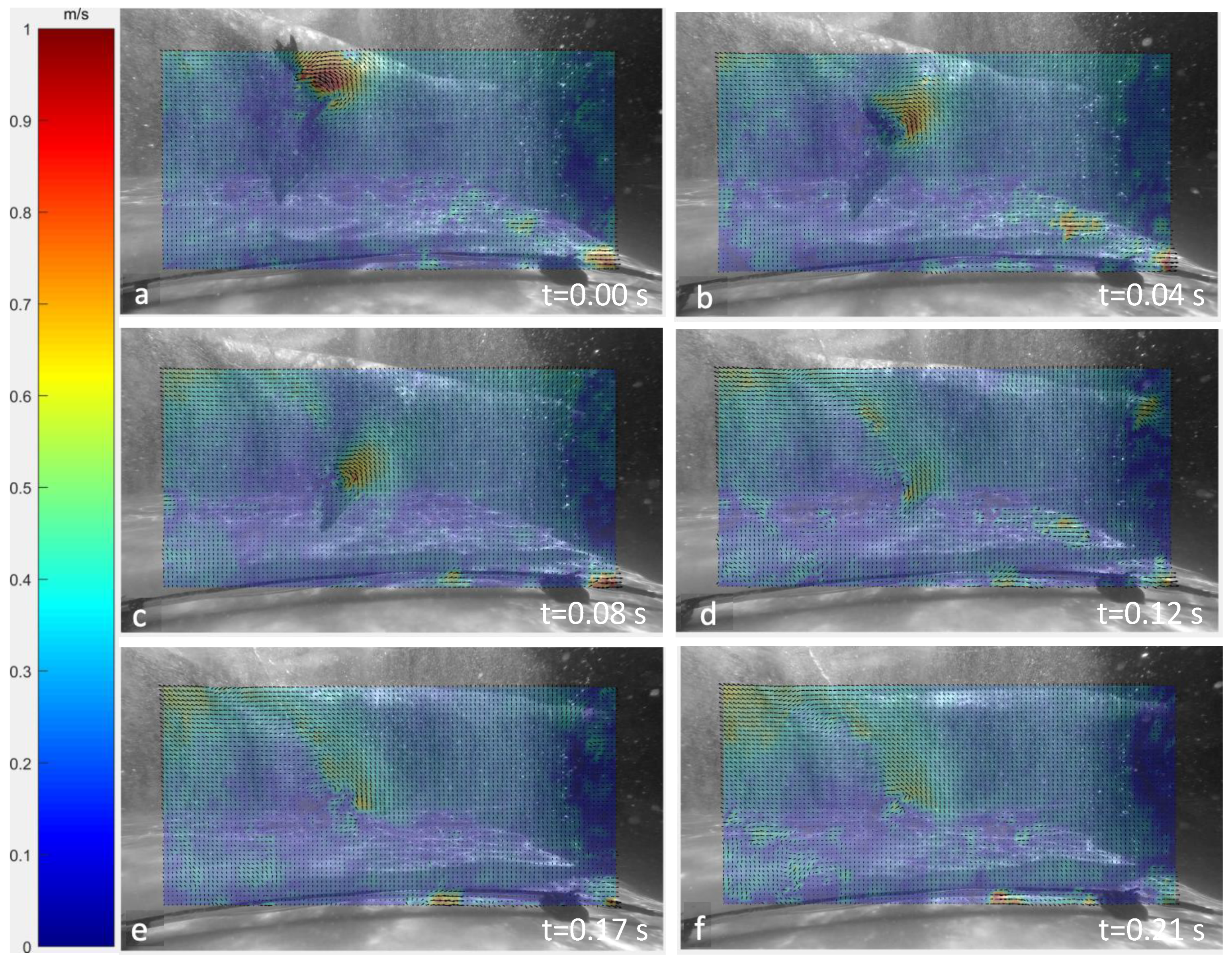 Fluids 07 00003 g005