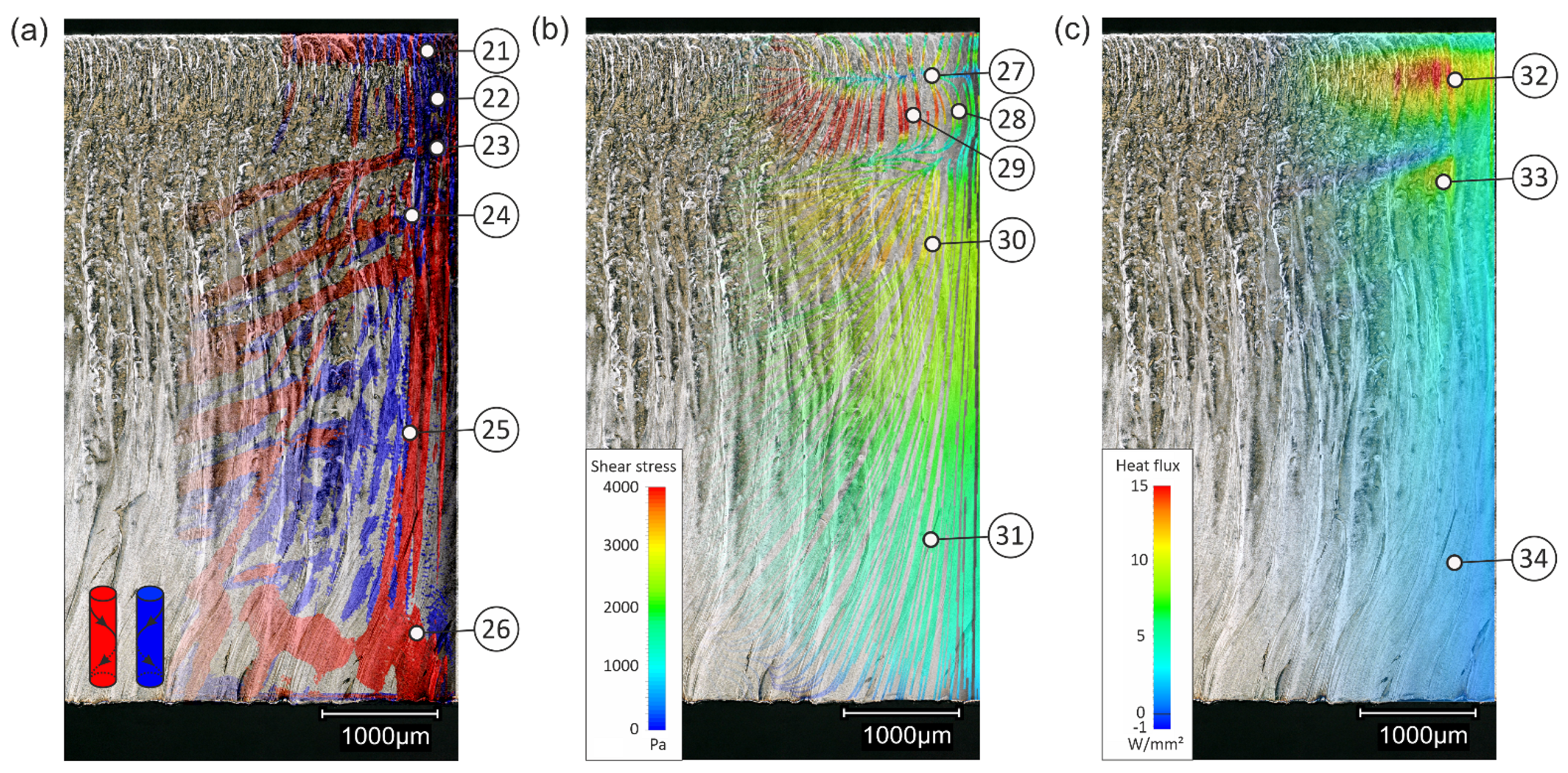 Fluids 07 00017 g007