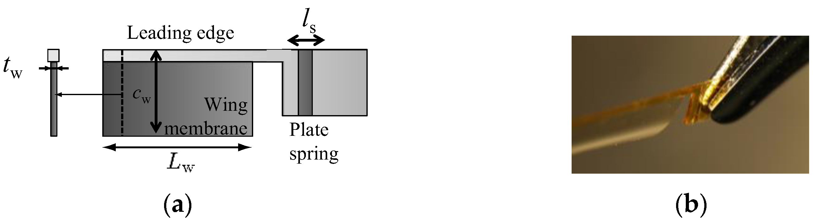 Fluids 07 00026 g012