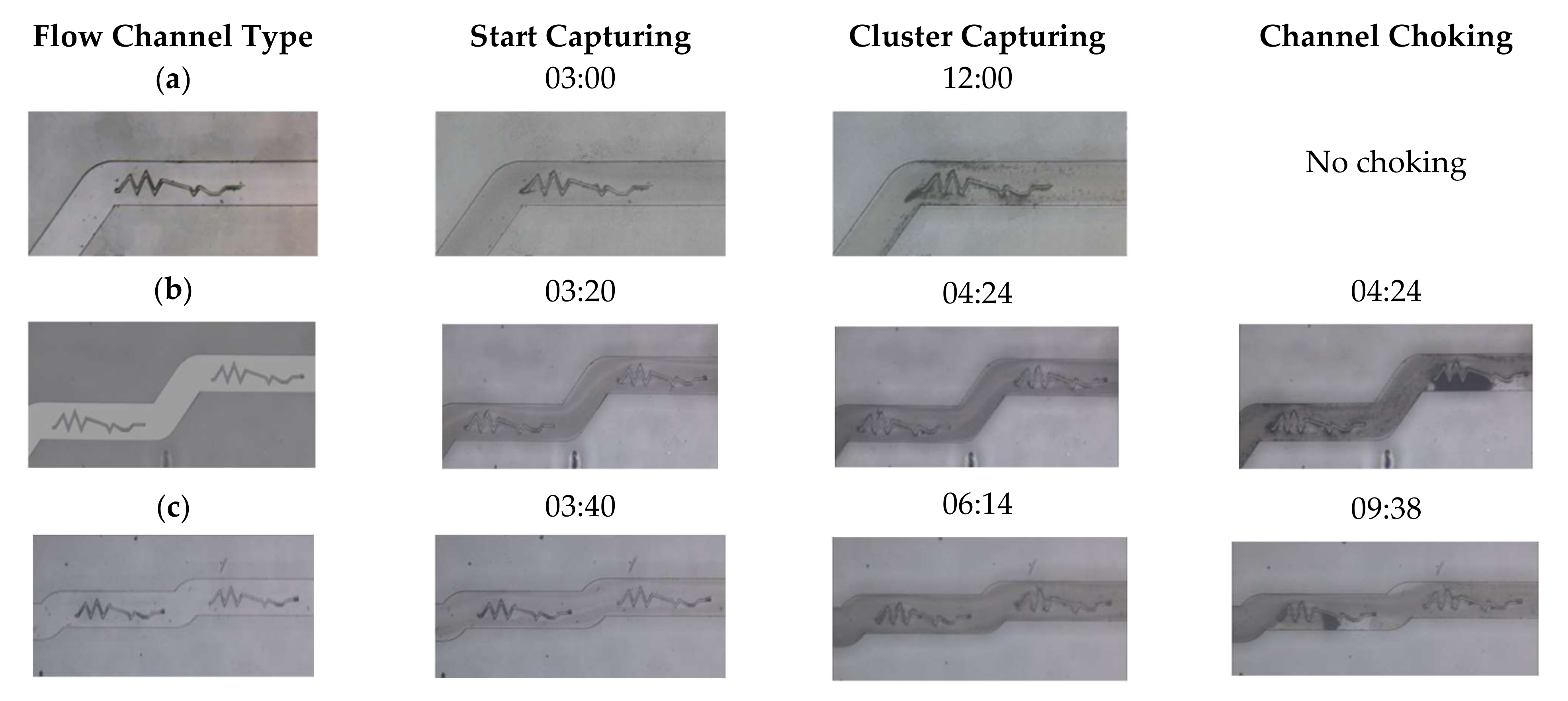 Fluids 07 00032 g001
