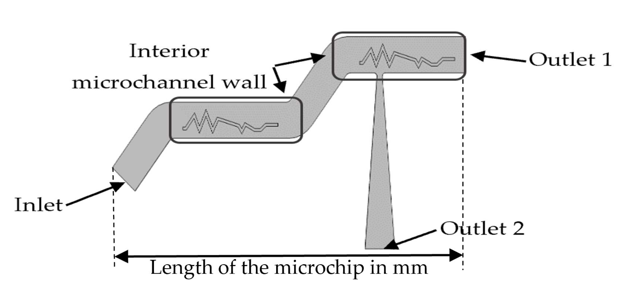 Fluids 07 00032 g002