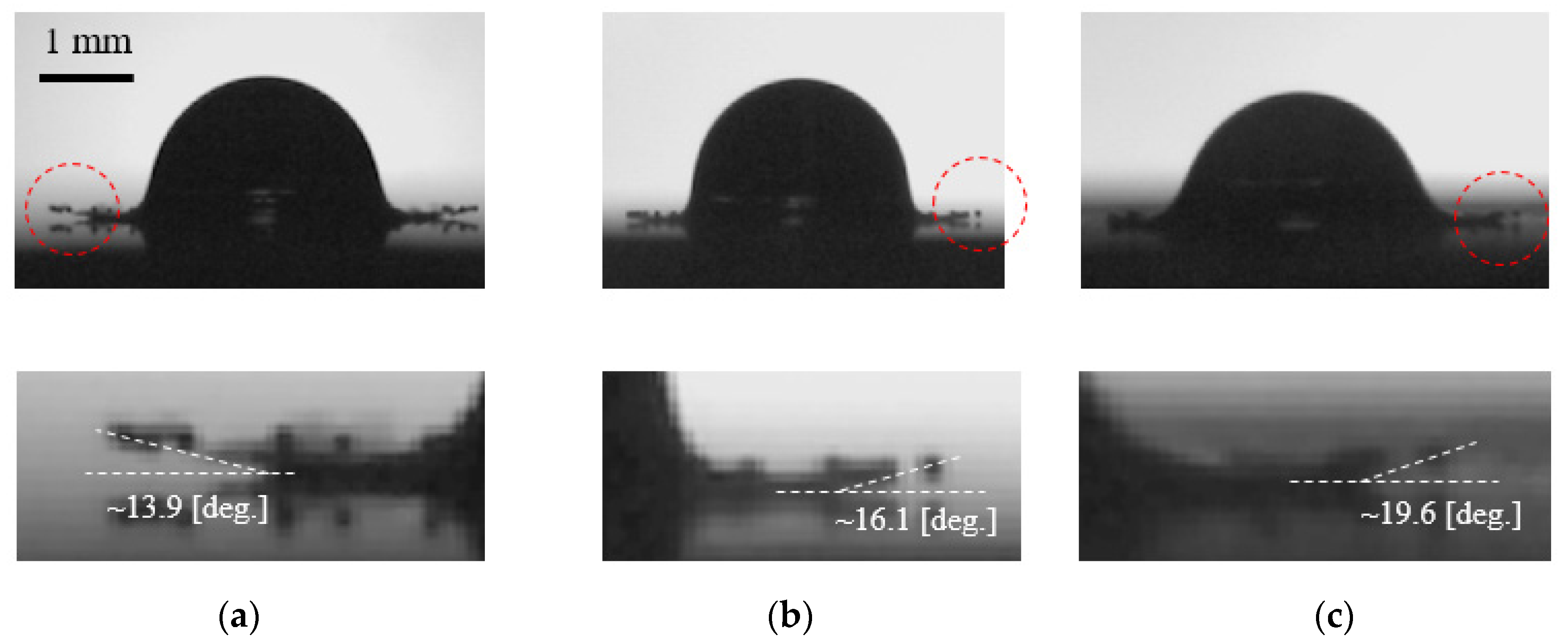 Fluids 07 00038 g003