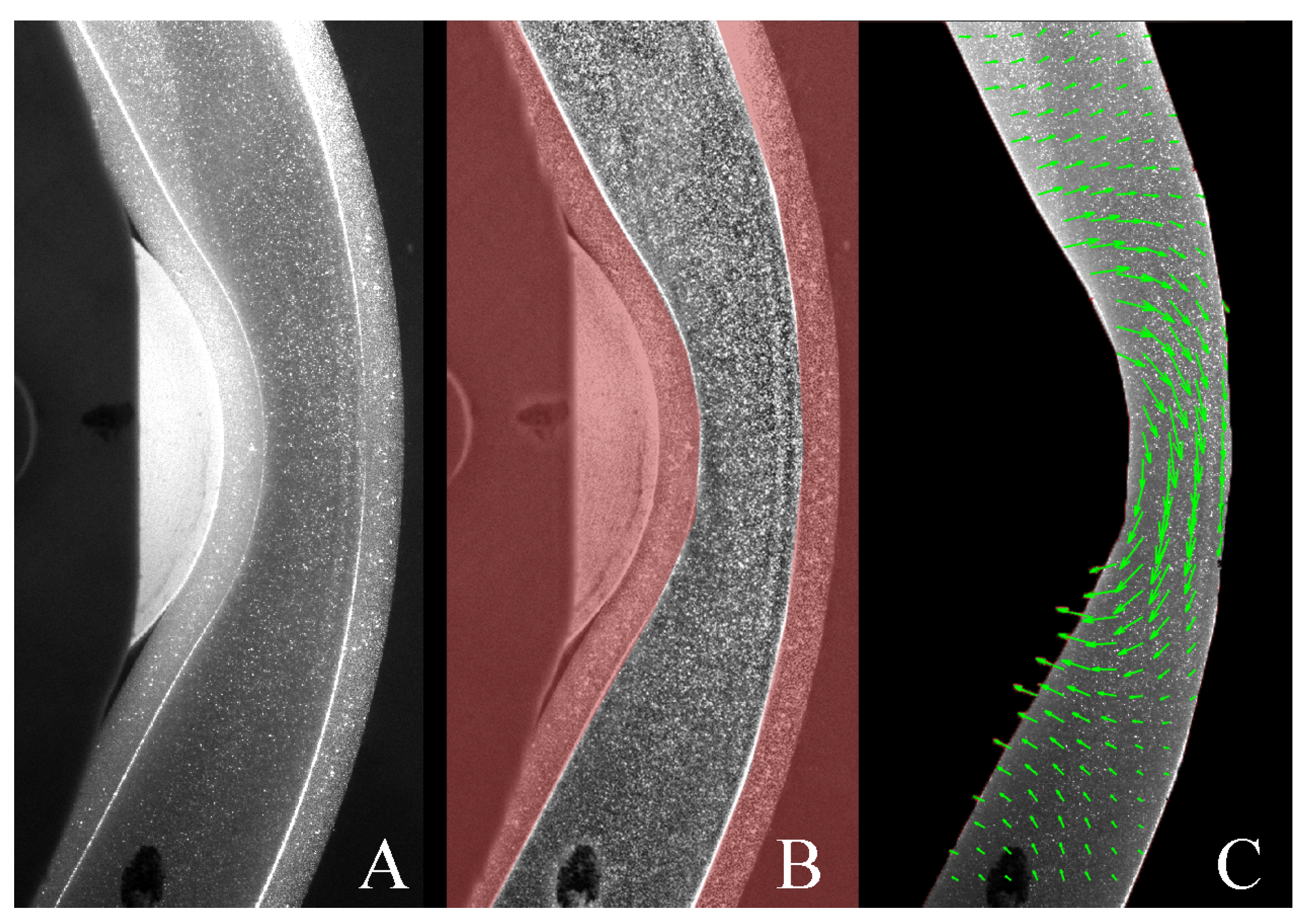 Fluids 07 00040 g006